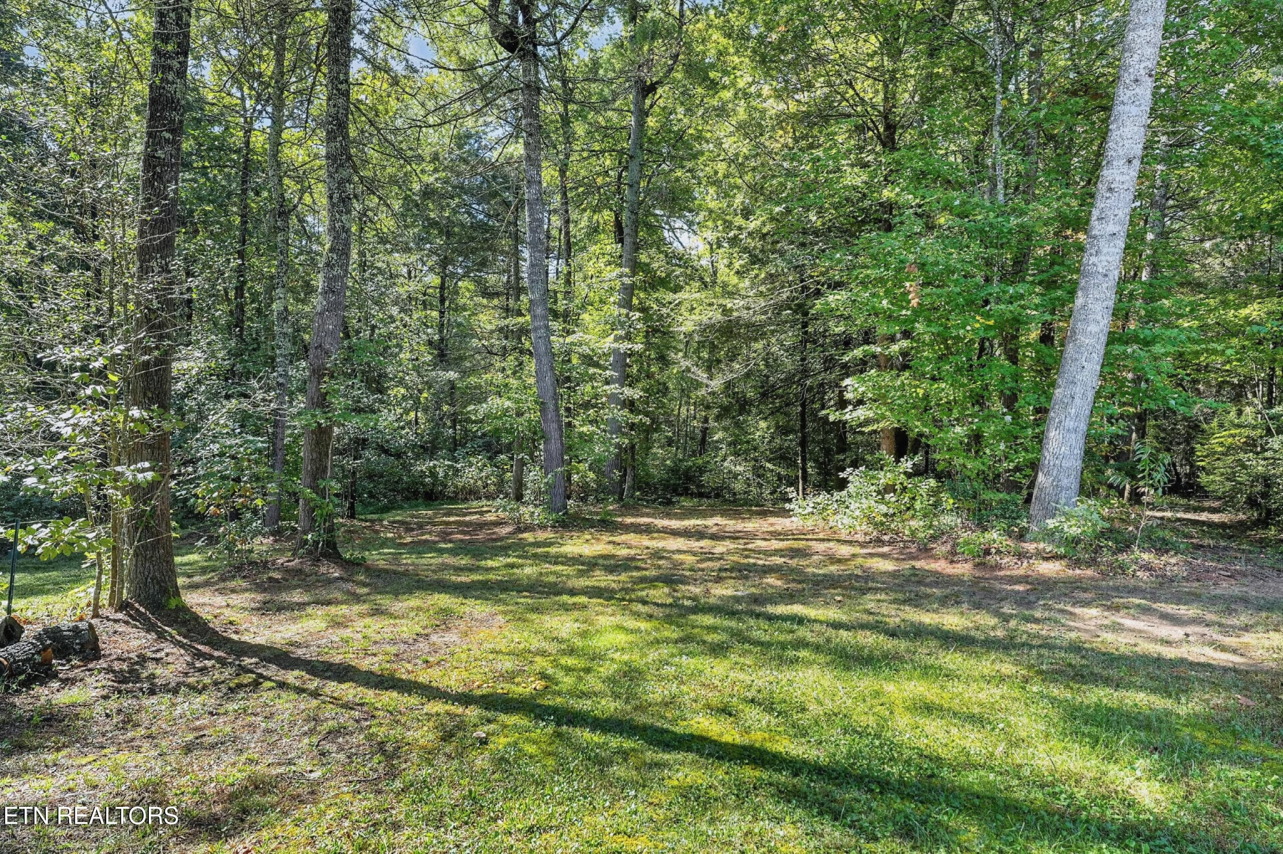 VERY PRIVATE - 4282 Standing Rock Rd, Jamestown, TN 38556, Jamestown