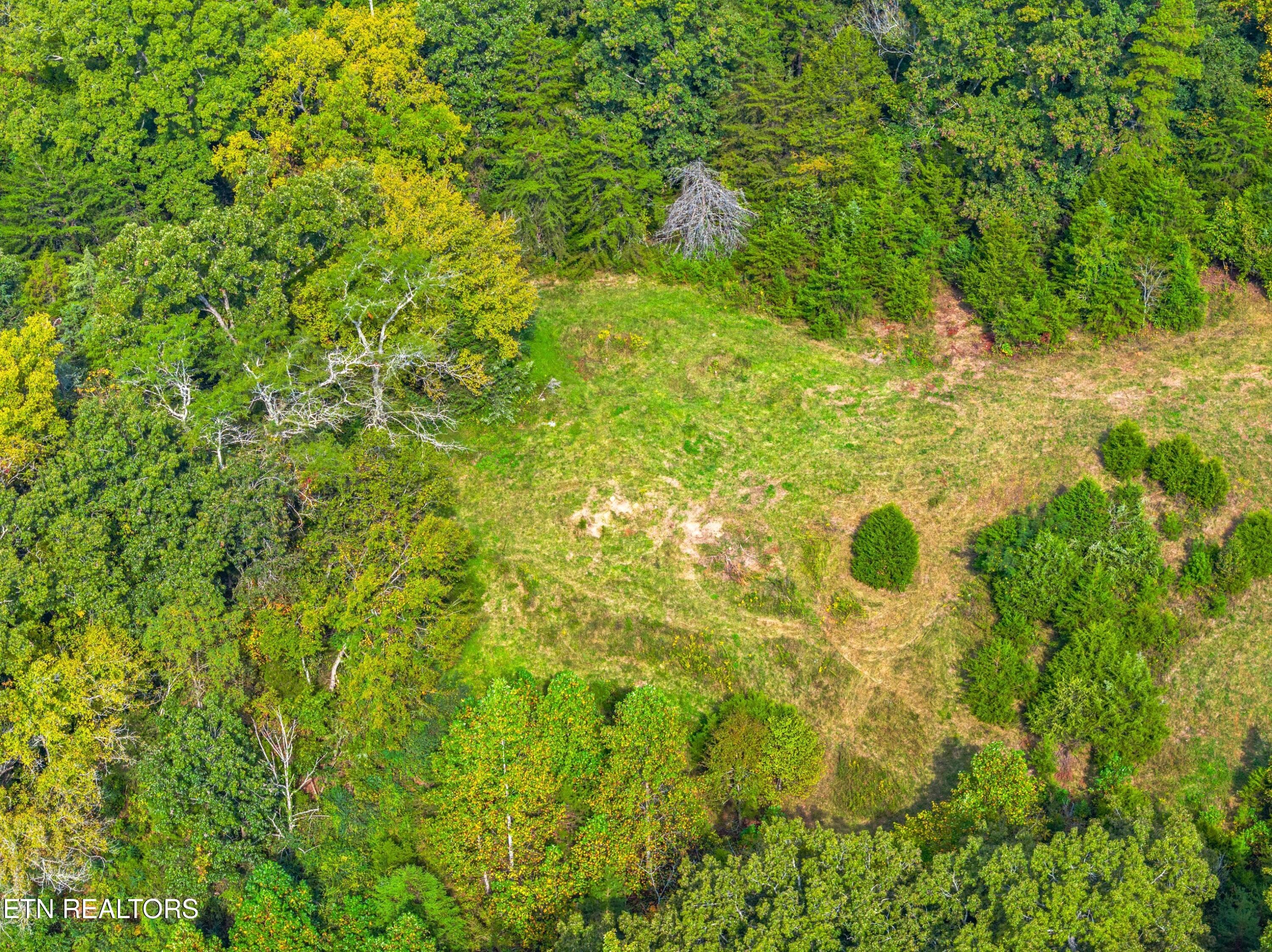 011-BogardRoad-TN-SMALL - Lot 3 Bogard Rd, Newport, TN 37821, Newport