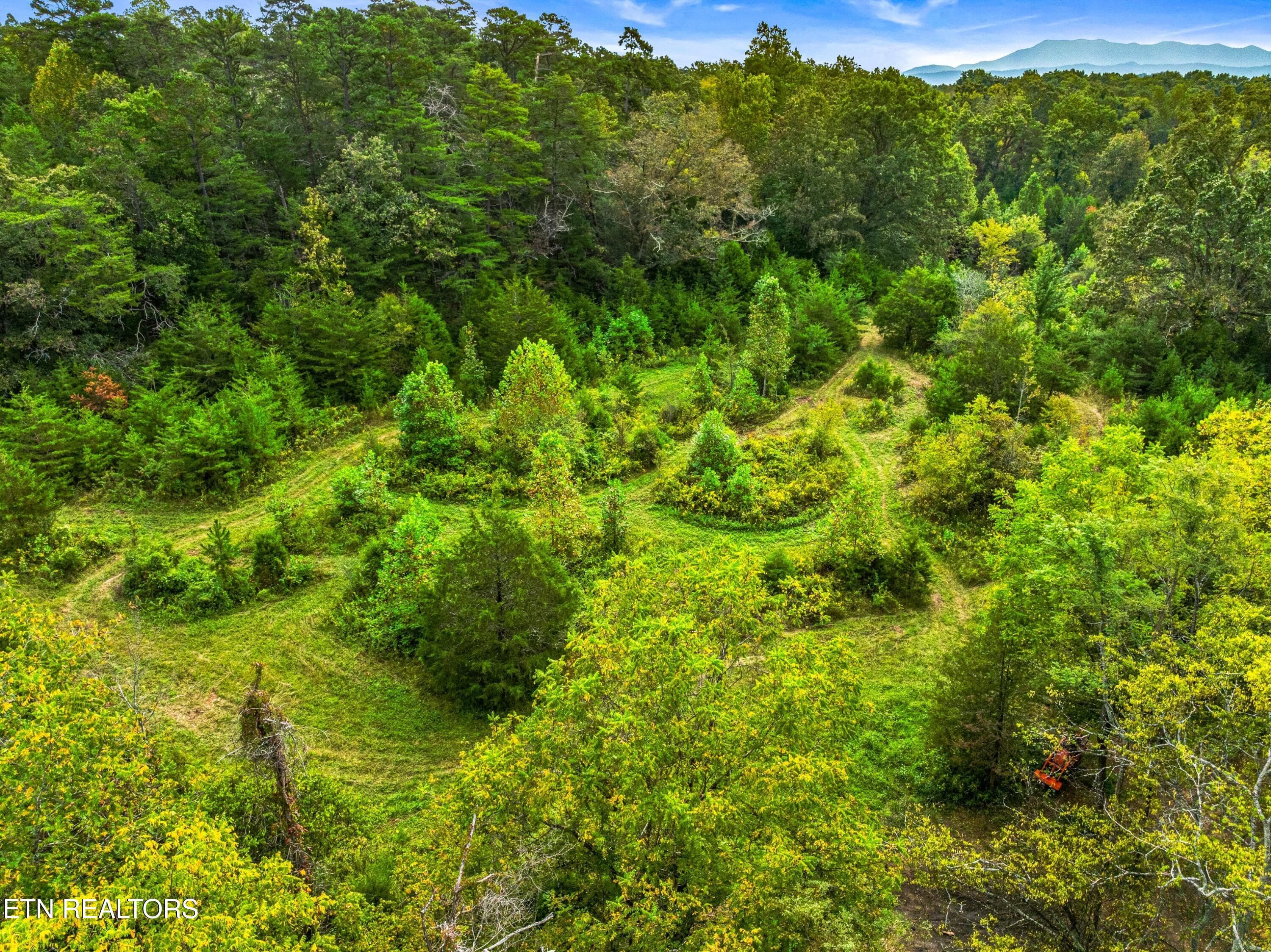 027-BogardRoad-TN-SMALL - Lot 3 Bogard Rd, Newport, TN 37821, Newport
