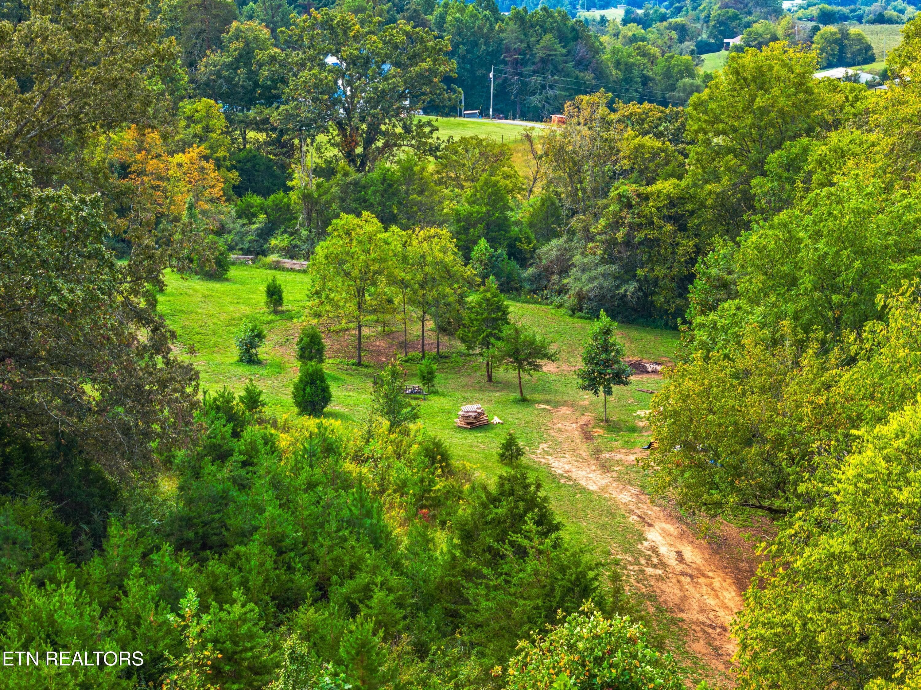 028-BogardRoad-TN-SMALL - Lot 3 Bogard Rd, Newport, TN 37821, Newport