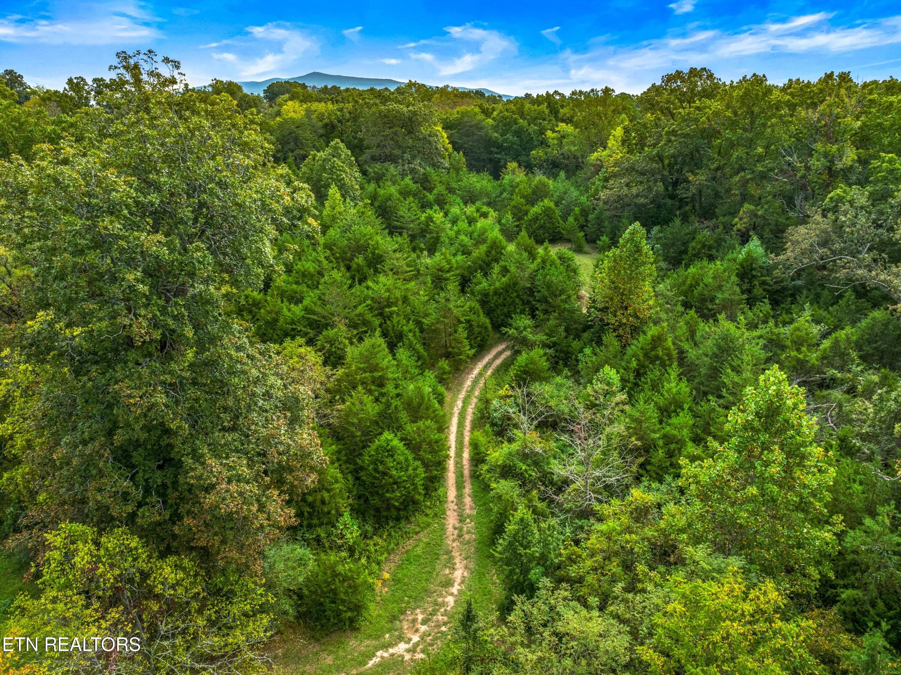 029-BogardRoad-TN-SMALL - Lot 3 Bogard Rd, Newport, TN 37821, Newport
