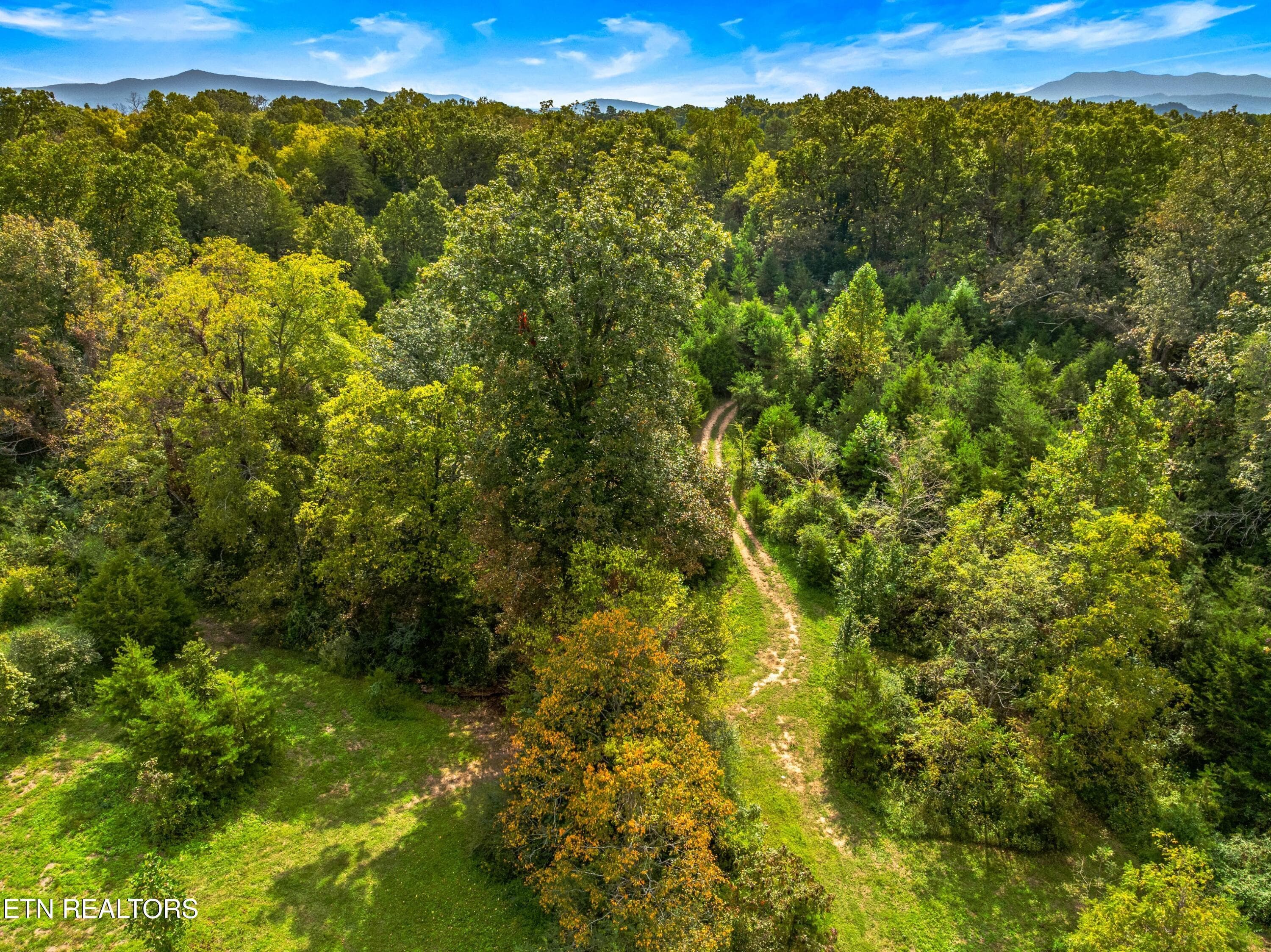 015-BogardRoad-TN-SMALL - Lot 3 Bogard Rd, Newport, TN 37821, Newport