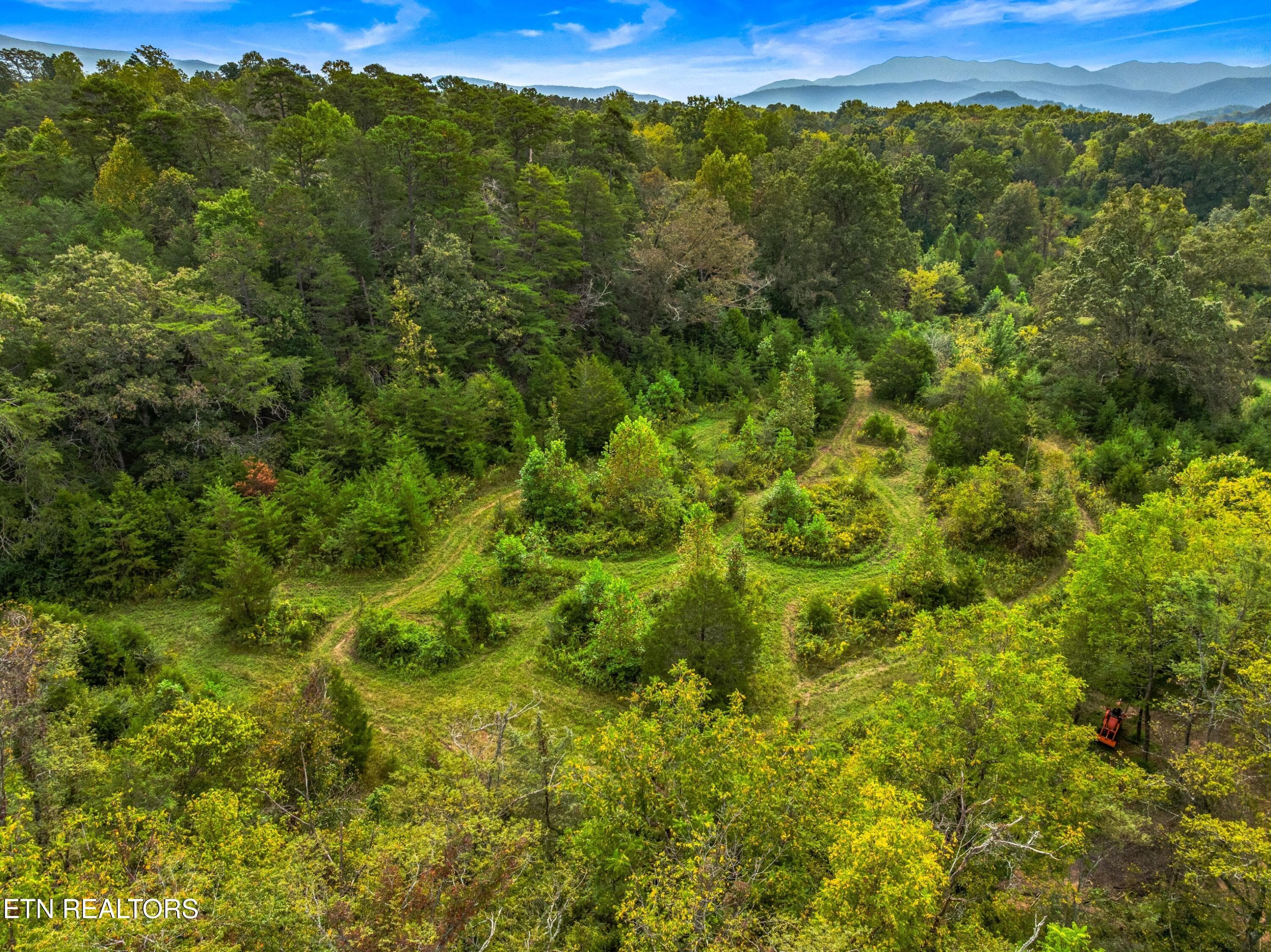 019-BogardRoad-TN-SMALL - Lot 3 Bogard Rd, Newport, TN 37821, Newport