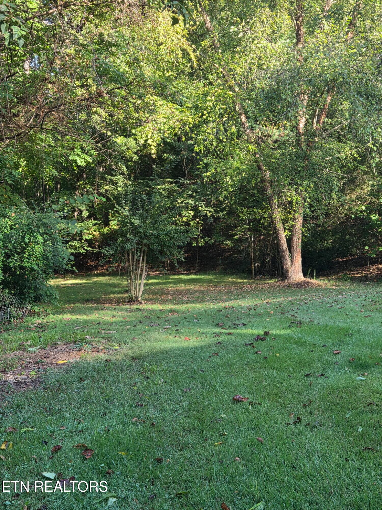 IMG_9105 - 6584 Fisherman Drive, Talbott, TN 37877