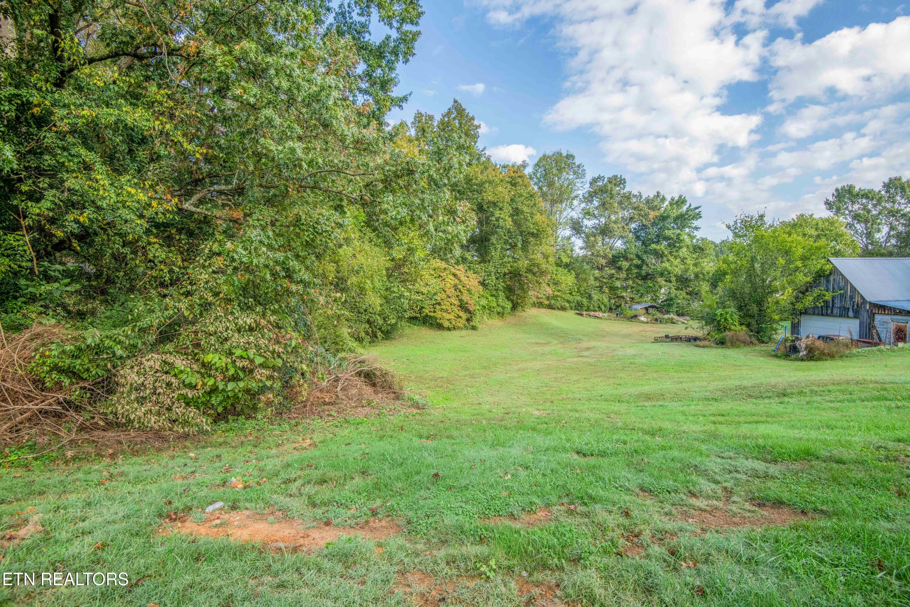 yard 2_1 - 7309 Hammer Rd, Knoxville, TN 37924, Knoxville