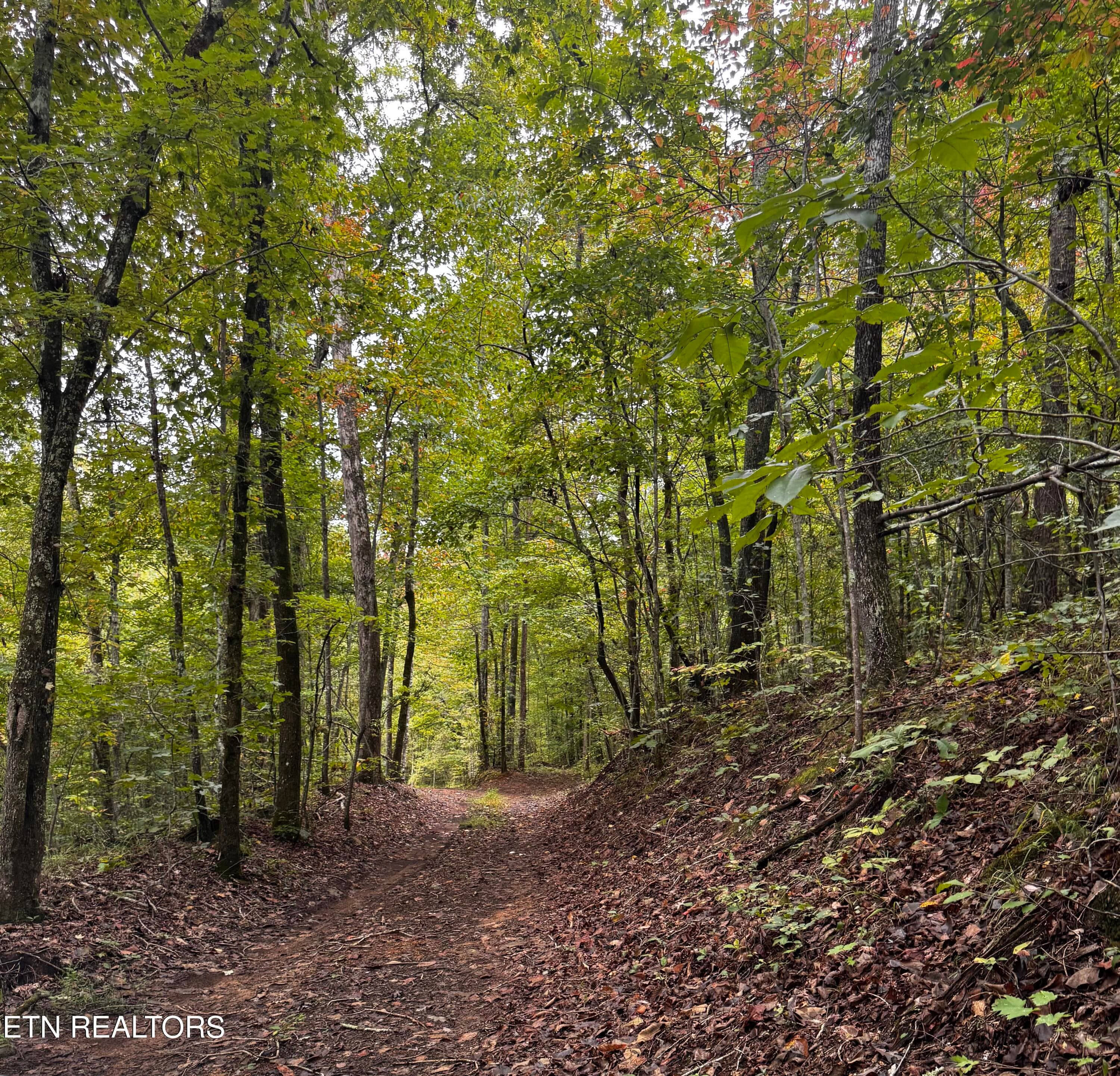 Decatur Hwy, Kingston, TN 37763