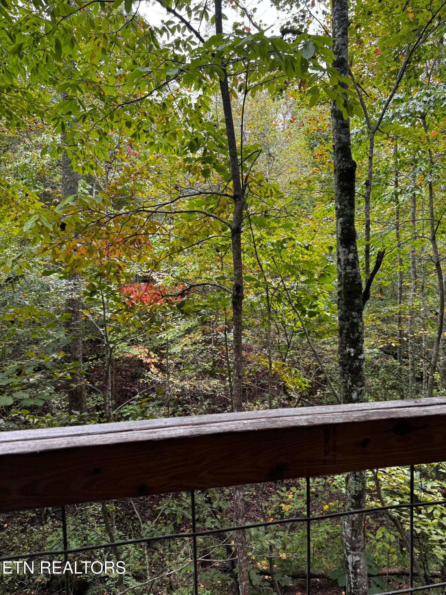 Cabin 1 - Decatur Hwy, Kingston, TN 37763