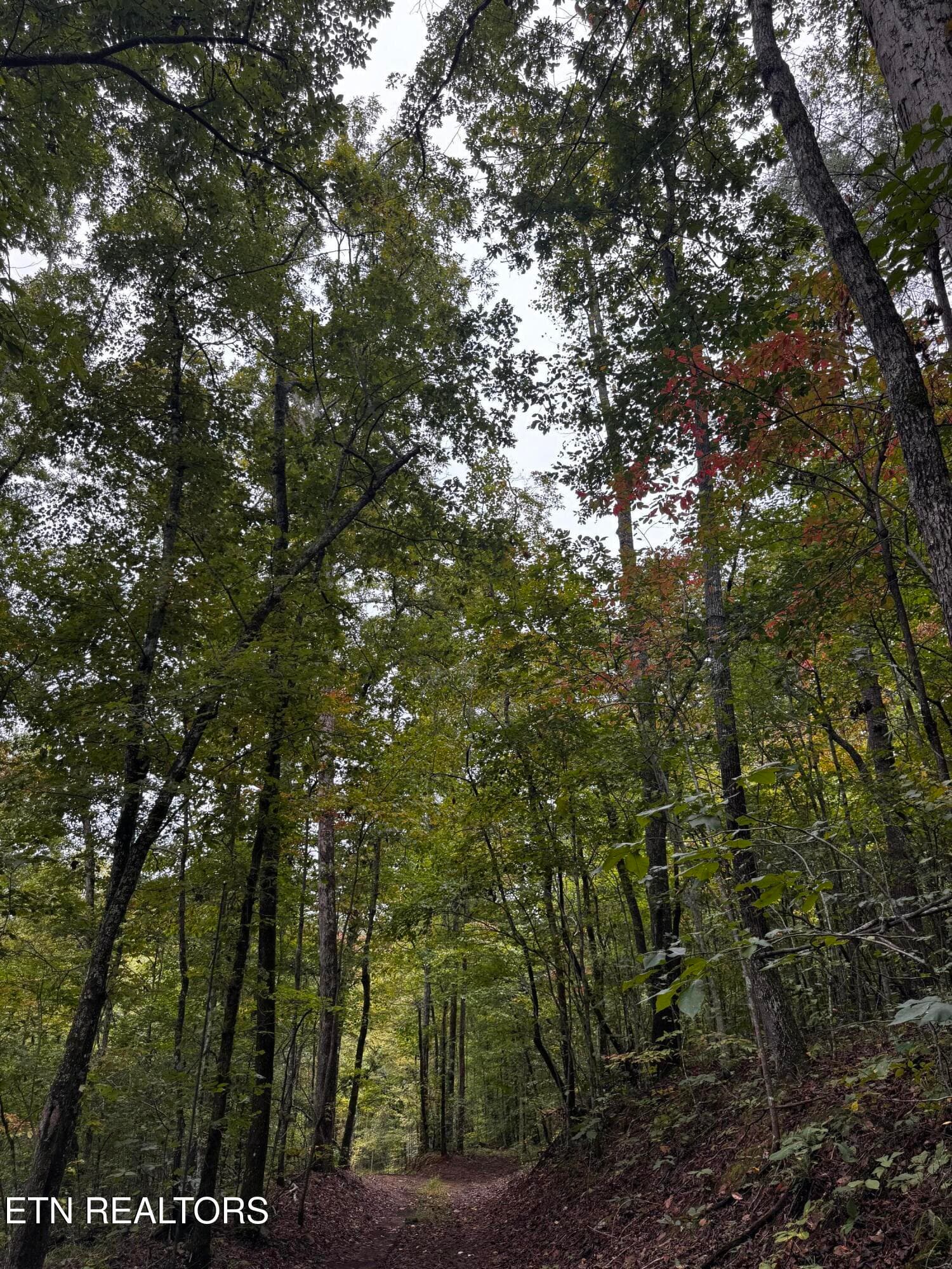 Gorgeous any season - Decatur Hwy, Kingston, TN 37763