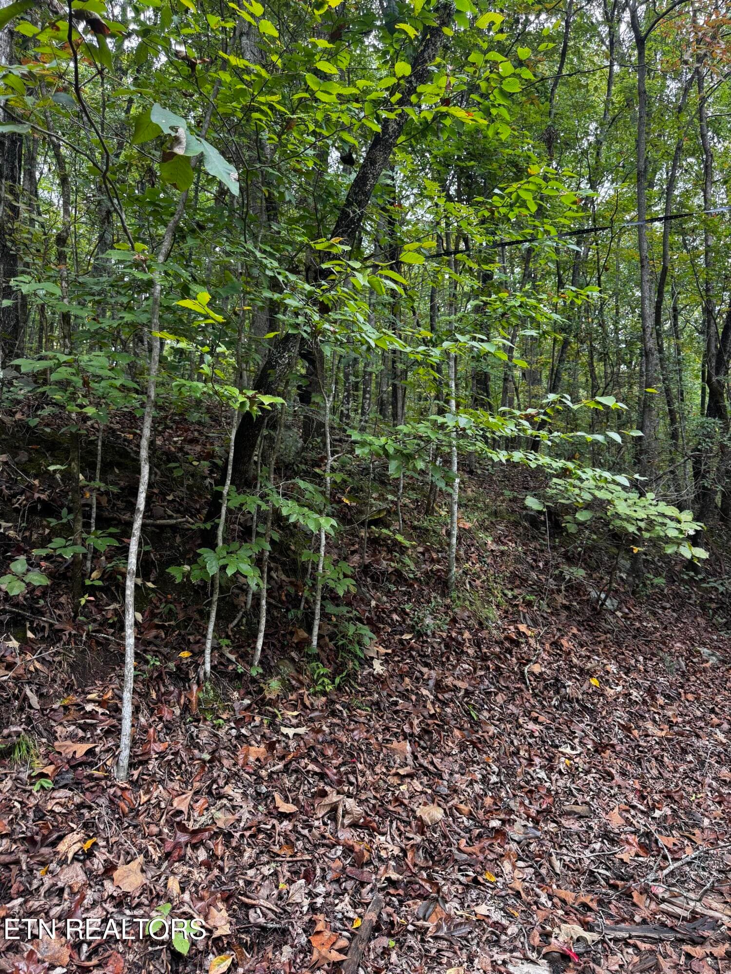 So many possibilities - Decatur Hwy, Kingston, TN 37763