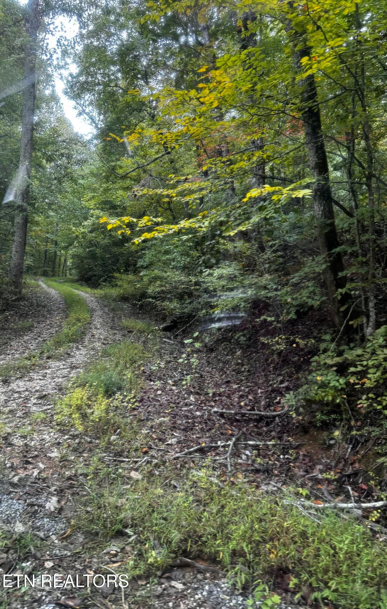 beautiful and private - Decatur Hwy, Kingston, TN 37763