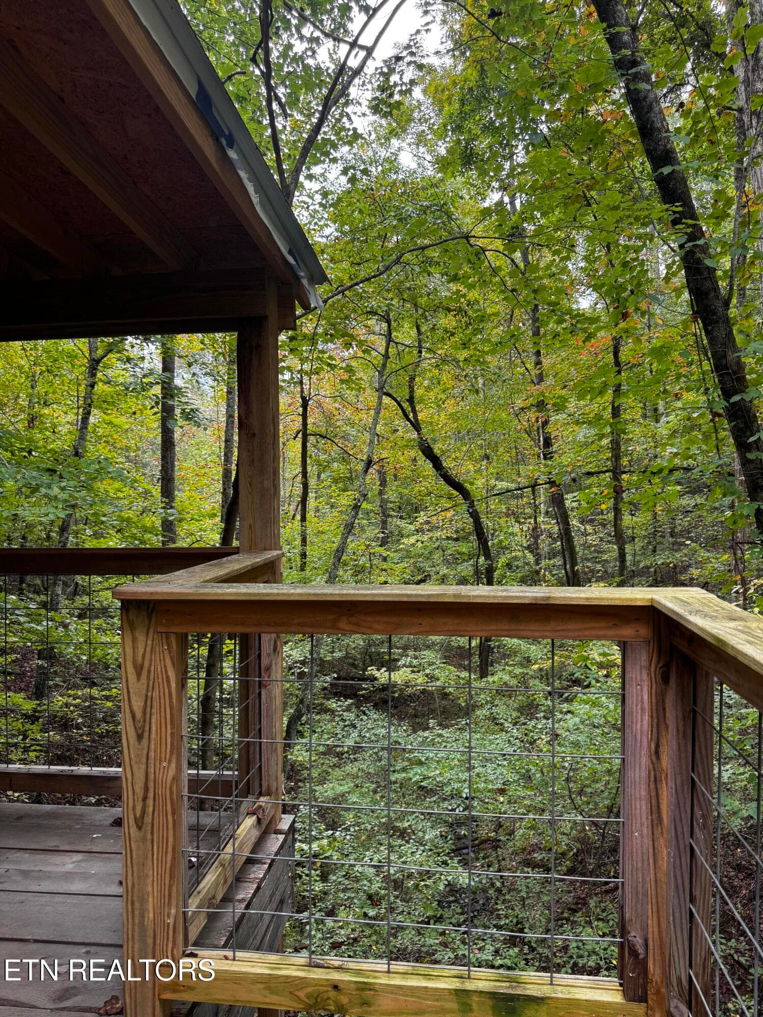 Cabin 2--The Treehouse - Decatur Hwy, Kingston, TN 37763