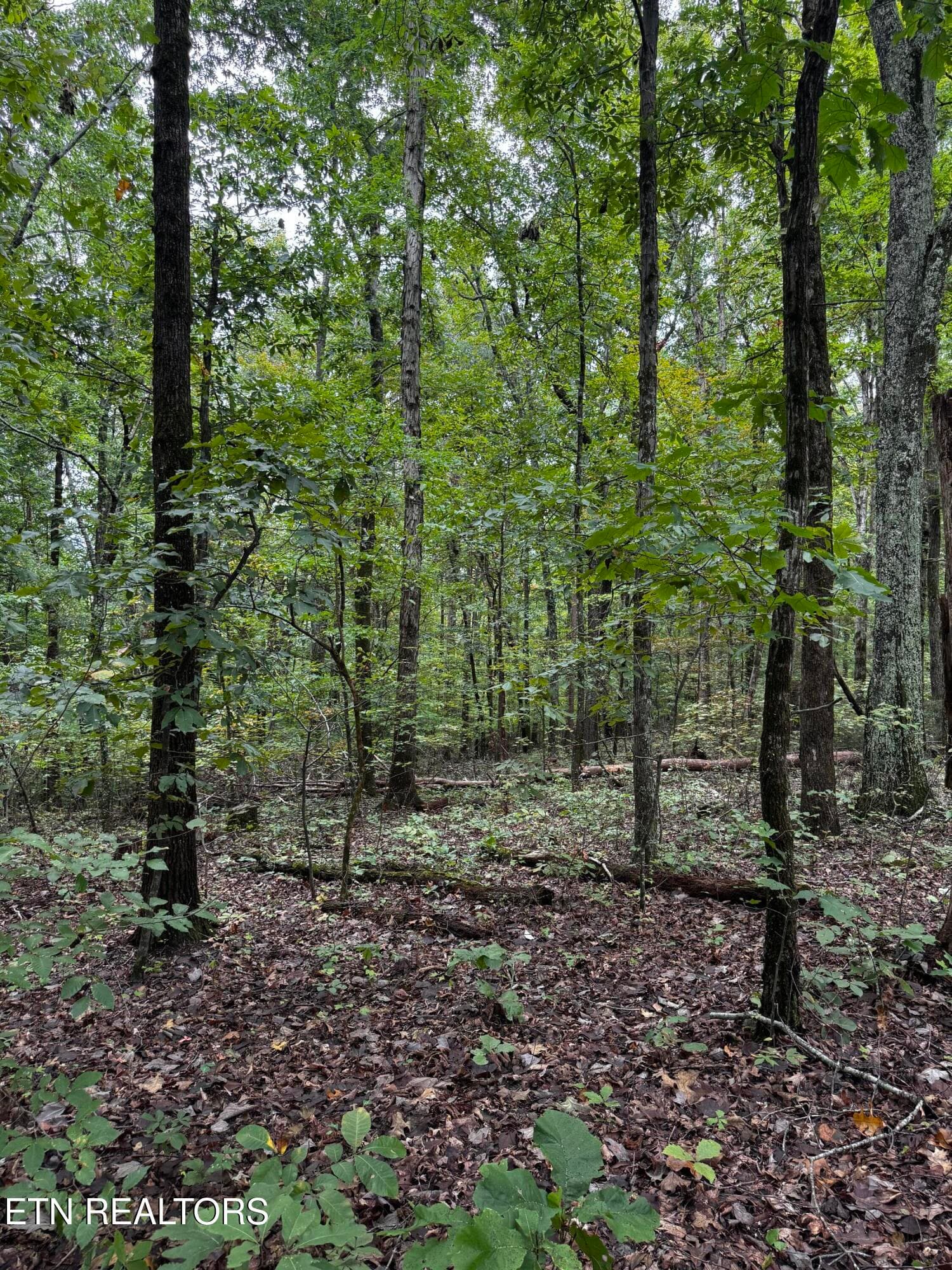 Endless potential - Decatur Hwy, Kingston, TN 37763