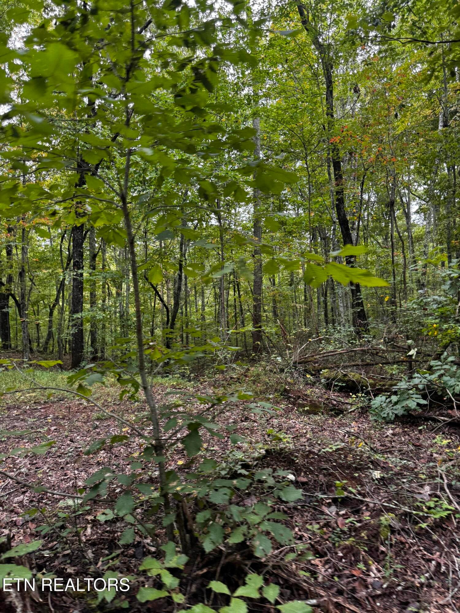 112 acres - Decatur Hwy, Kingston, TN 37763