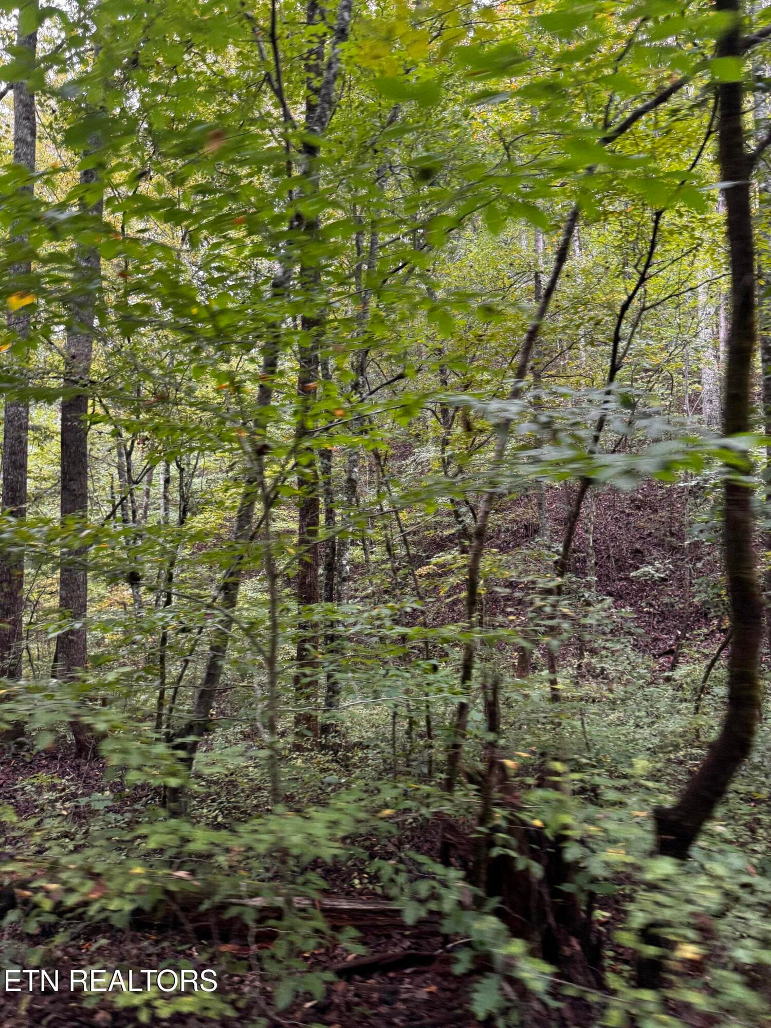 112 acres - Decatur Hwy, Kingston, TN 37763