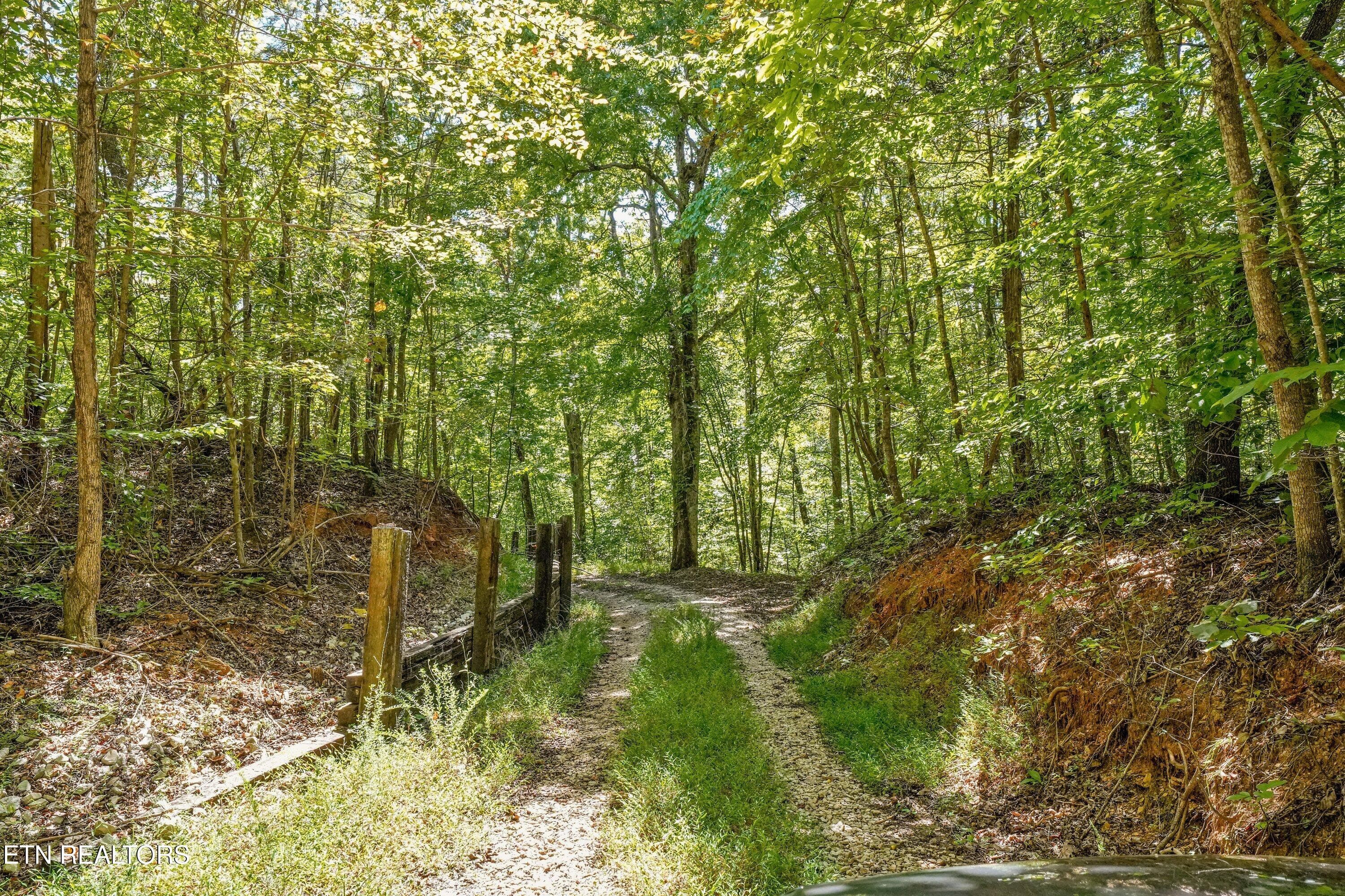 Returning from the back of the property - Decatur Hwy, Kingston, TN 37763