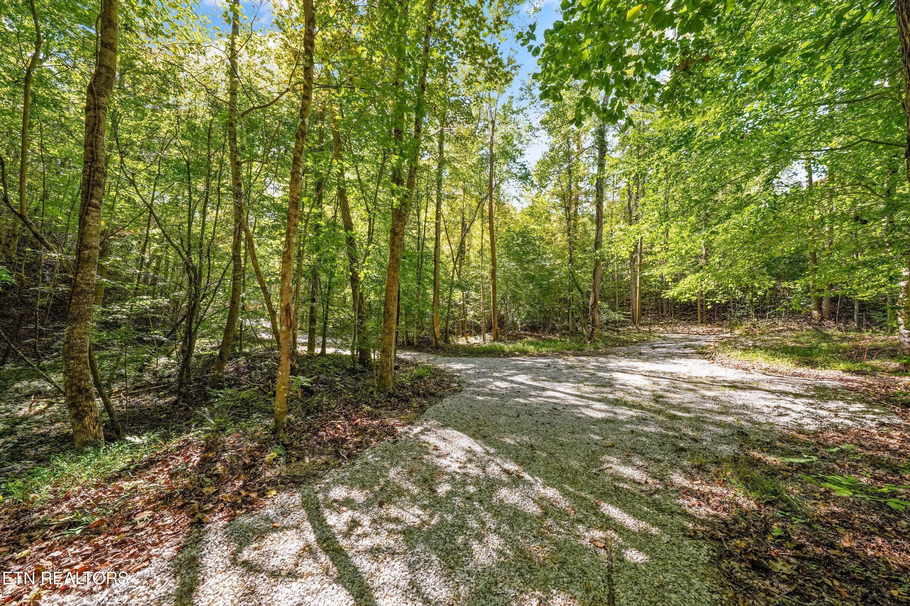 112 Acres - Decatur Hwy, Kingston, TN 37763