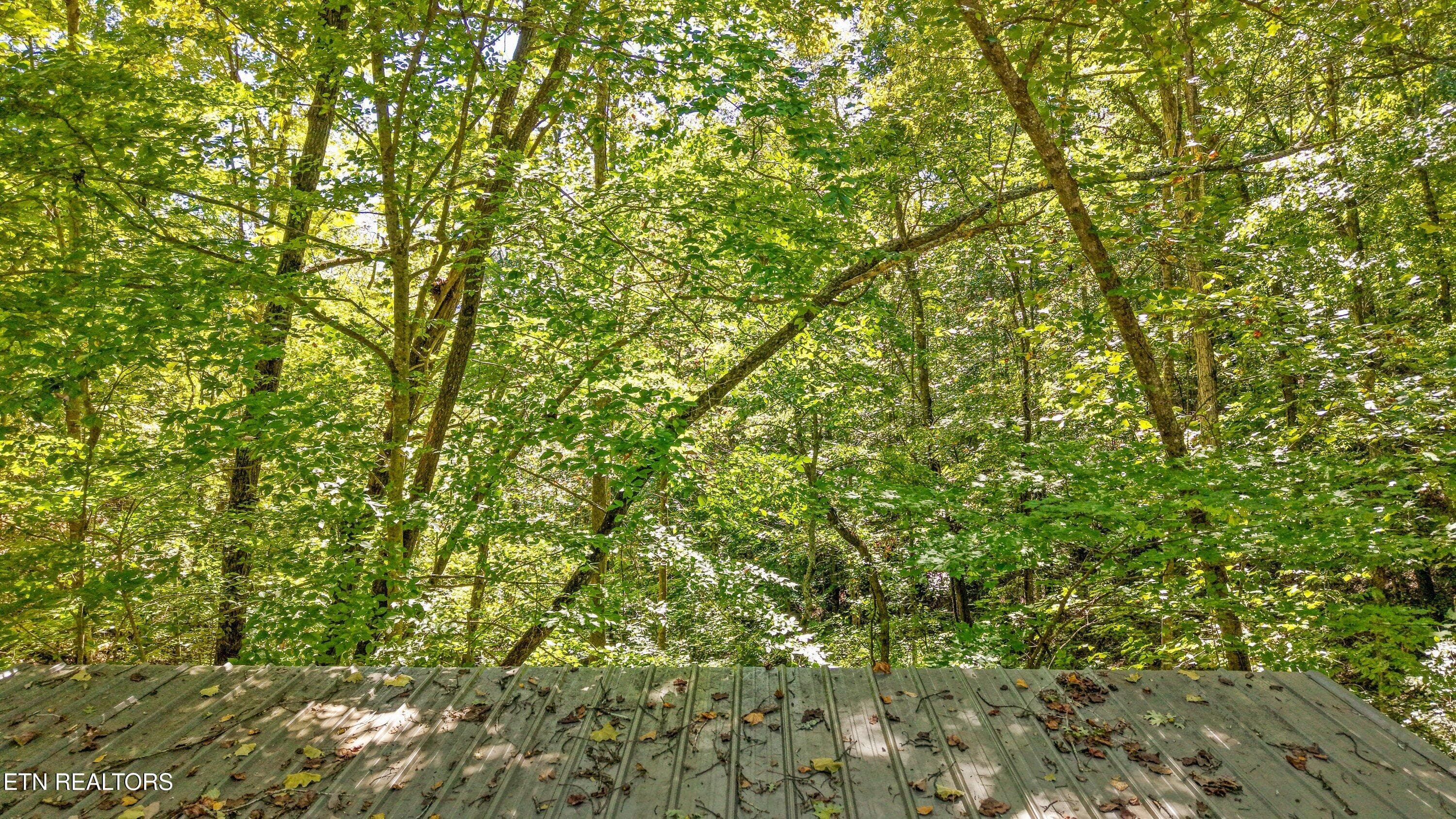 So many possibilities - Decatur Hwy, Kingston, TN 37763
