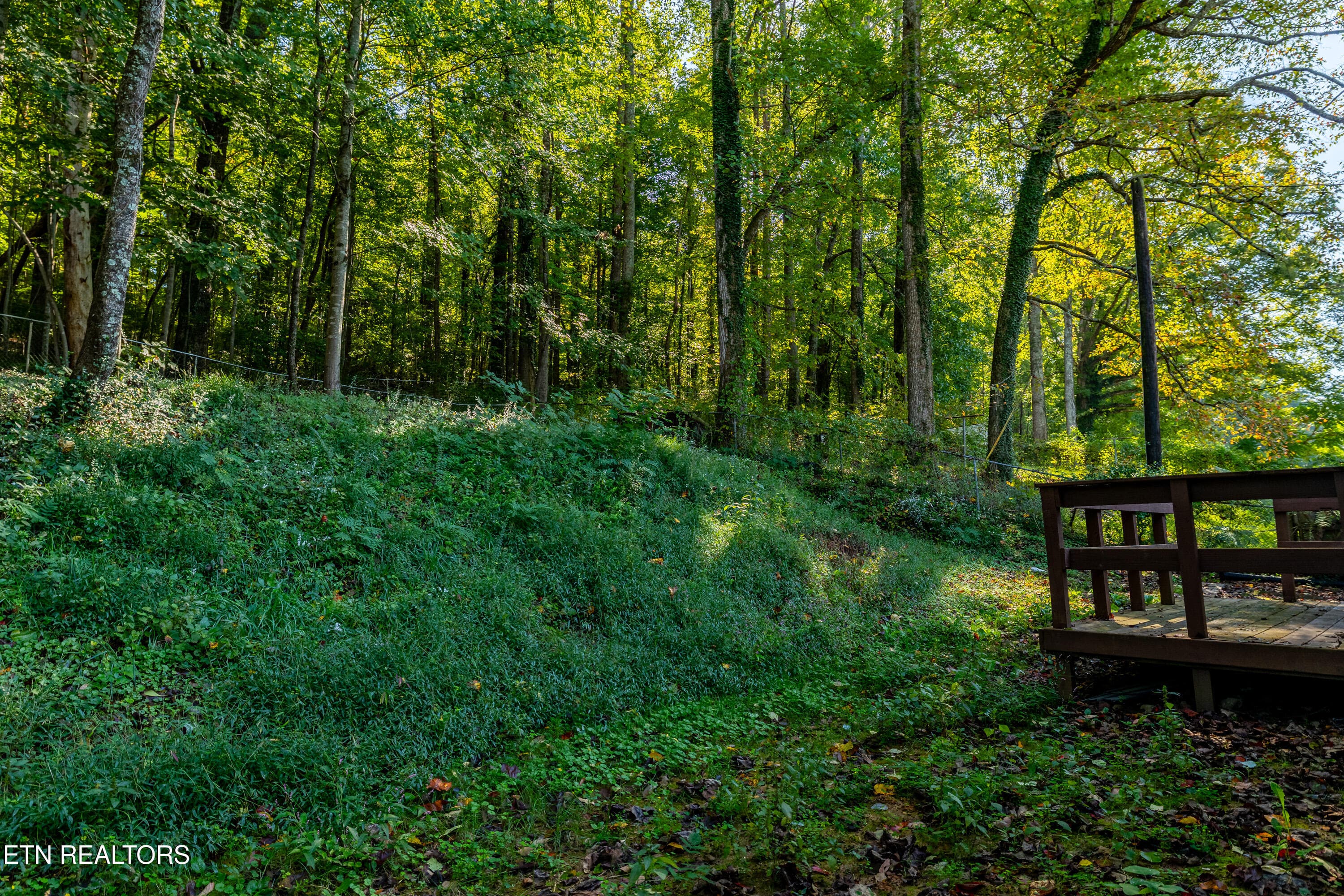 2216RifleRangeRd-26 - 2216 Rifle Range Drive, Knoxville, TN 37918, Knoxville