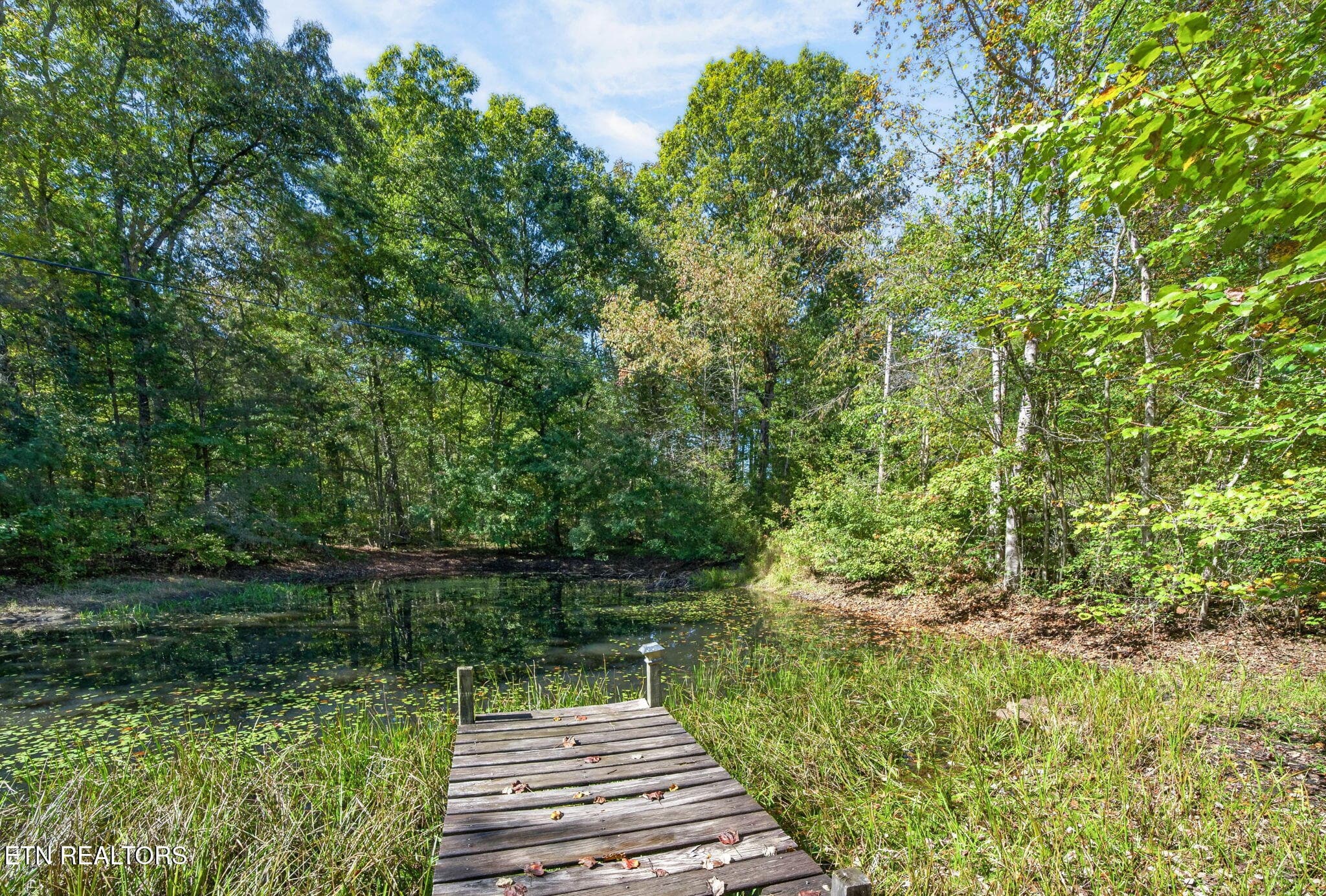 Pond - 154 Old Kentucky Stock Rd, Crossville, TN 38571, Crossville