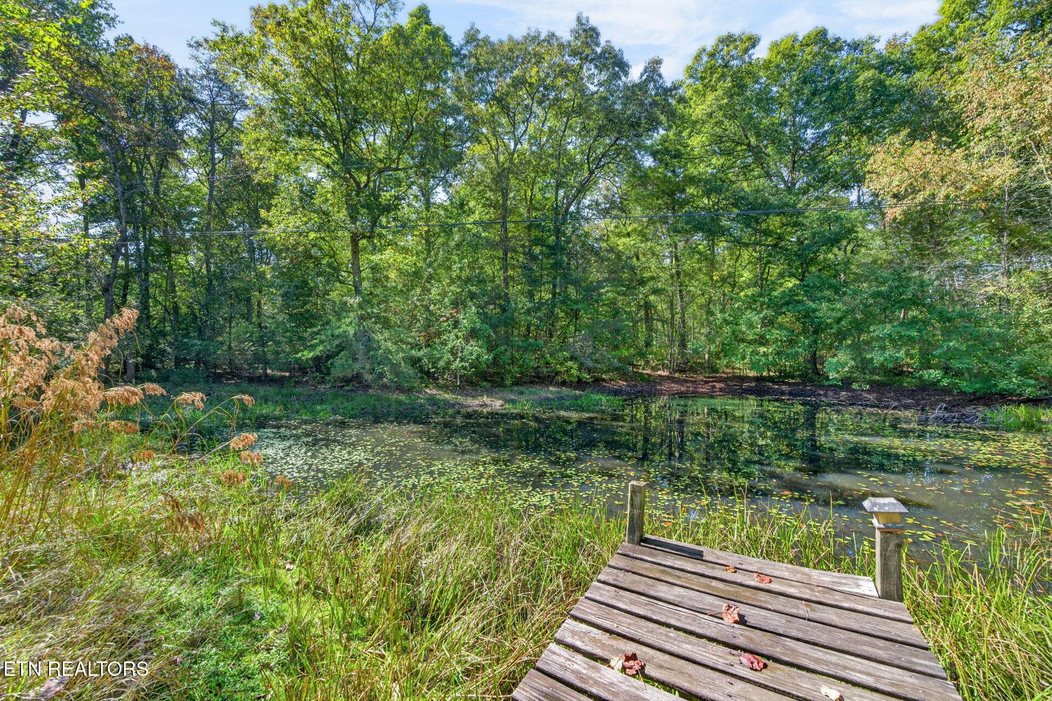 Pond - 154 Old Kentucky Stock Rd, Crossville, TN 38571, Crossville