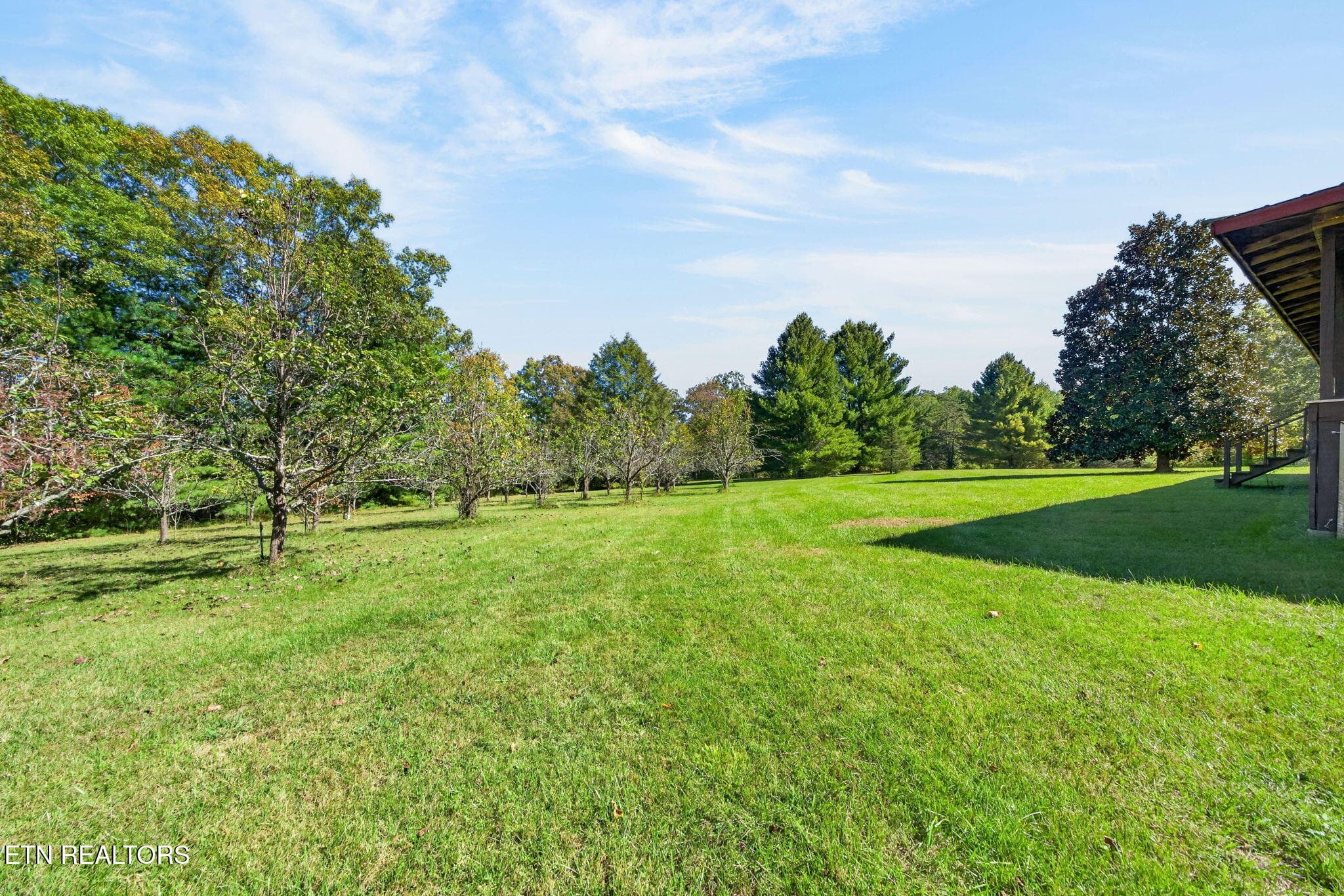 Side Yard - 154 Old Kentucky Stock Rd, Crossville, TN 38571, Crossville