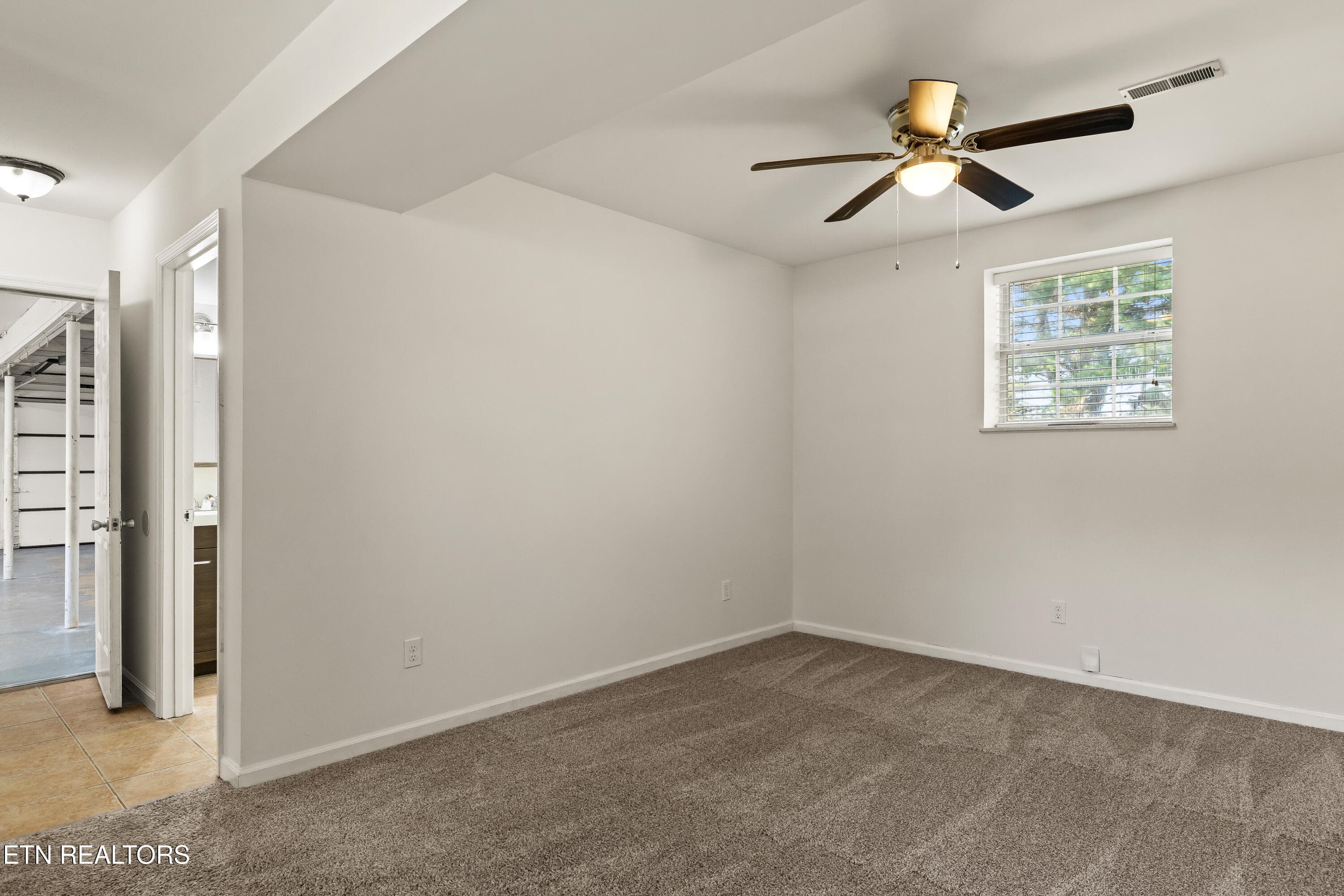 Basement flex room - 4147 Franklin Hill Blvd, Maryville, TN 37804, Maryville