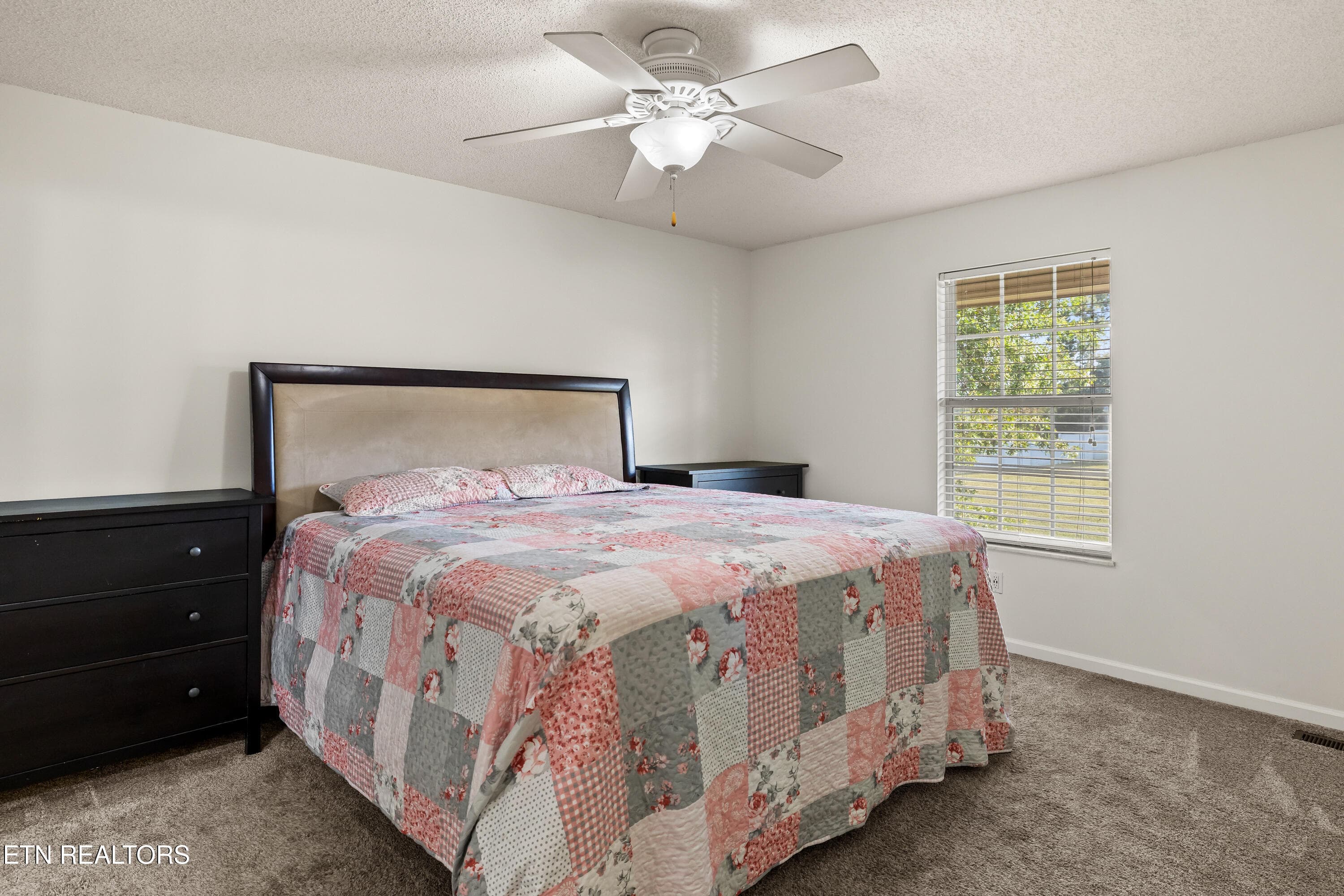 Primary bedroom - 4147 Franklin Hill Blvd, Maryville, TN 37804, Maryville
