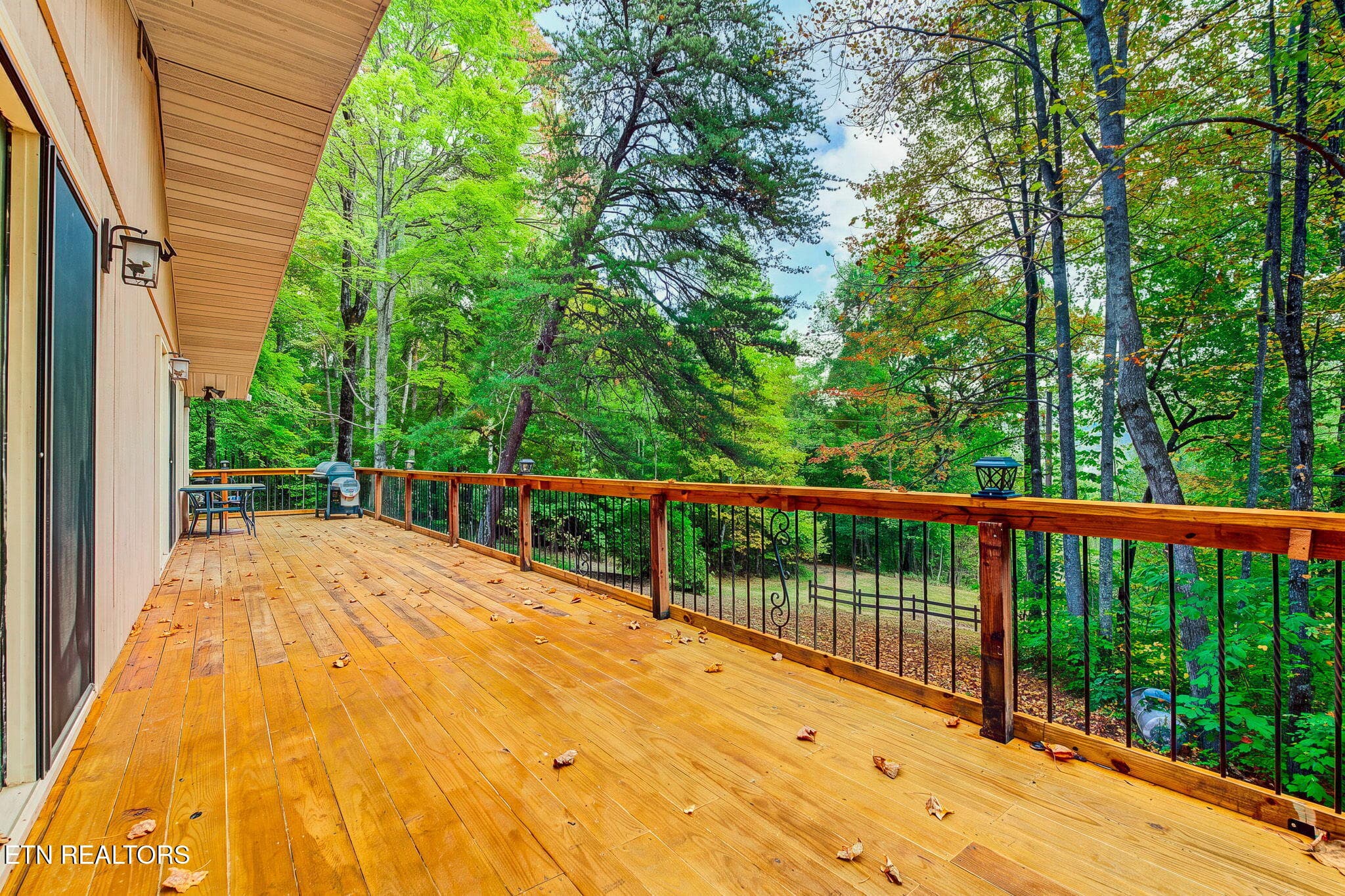28-web-or-mls-4222-fox-hunters-ln - 4222 Fox Hunters Lane, Sevierville, TN 37876, Sevierville