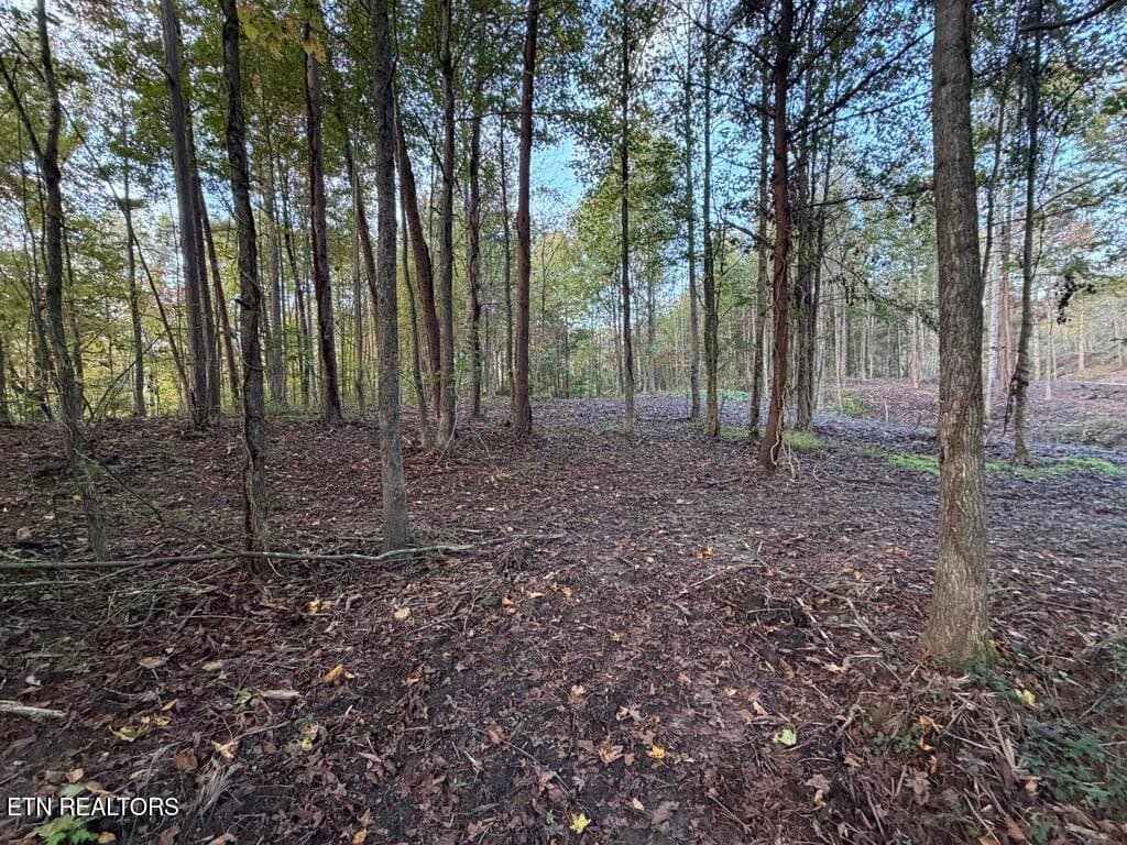 0 Sled Creek Rd, Duff, TN 37729