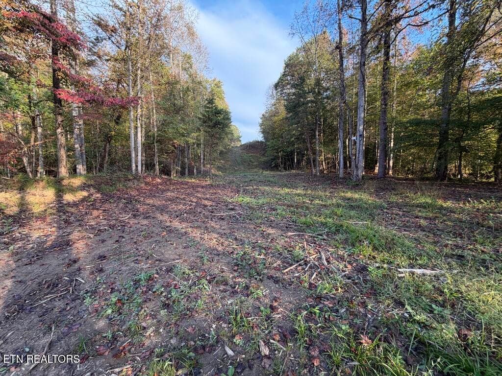 3EA4C27B-2FB6-4FEE-96FF-0EA81FA9F234_1_1 - 0 Sled Creek Rd, Duff, TN 37729, Duff