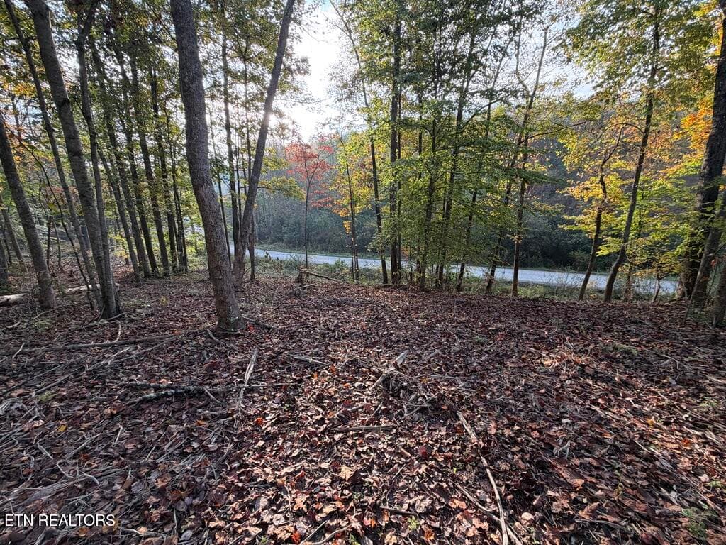 37D0C524-4890-4F91-B031-10C3BB3E6790_1_1 - 0 Sled Creek Rd, Duff, TN 37729, Duff