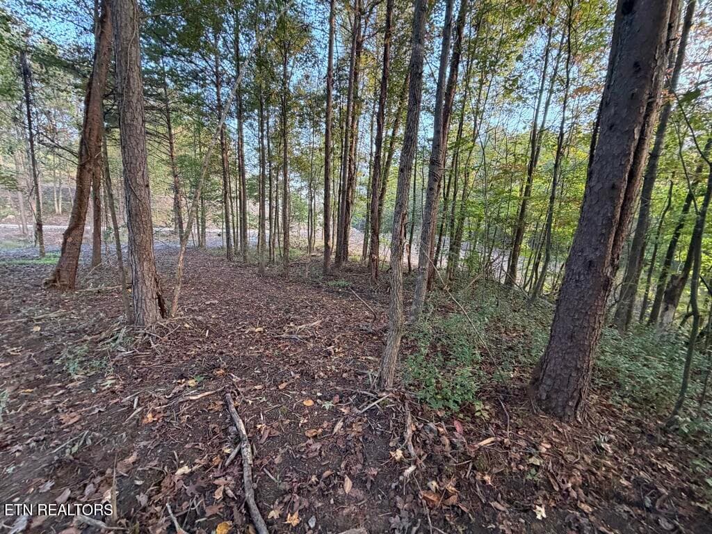 57D6E938-6773-4990-A3D8-DF7CEBAC0DEE_1_1 - 0 Sled Creek Rd, Duff, TN 37729, Duff