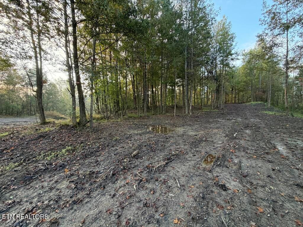 64DFA8F6-DA77-40F3-A567-066A02AC63CA_1_1 - 0 Sled Creek Rd, Duff, TN 37729, Duff