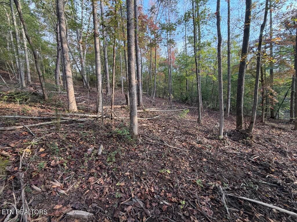 66FB1704-073A-4208-B762-DF571470FD76_1_1 - 0 Sled Creek Rd, Duff, TN 37729, Duff