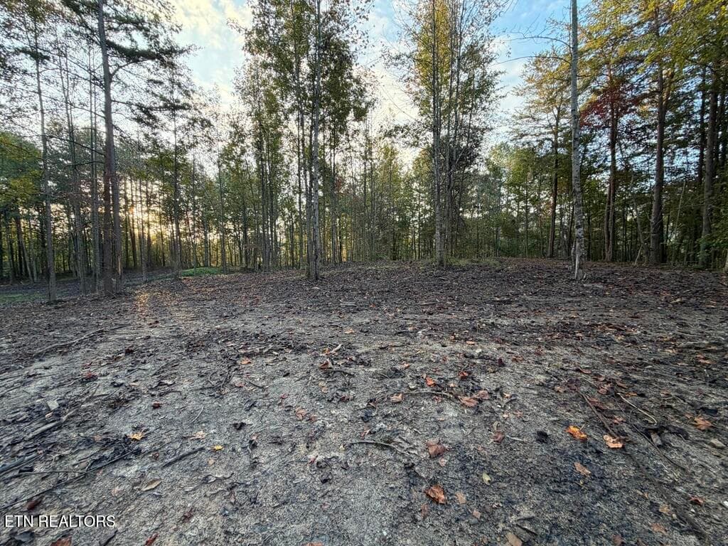 263A4DED-64EC-4771-8C30-5960DB0CA240_1_1 - 0 Sled Creek Rd, Duff, TN 37729, Duff