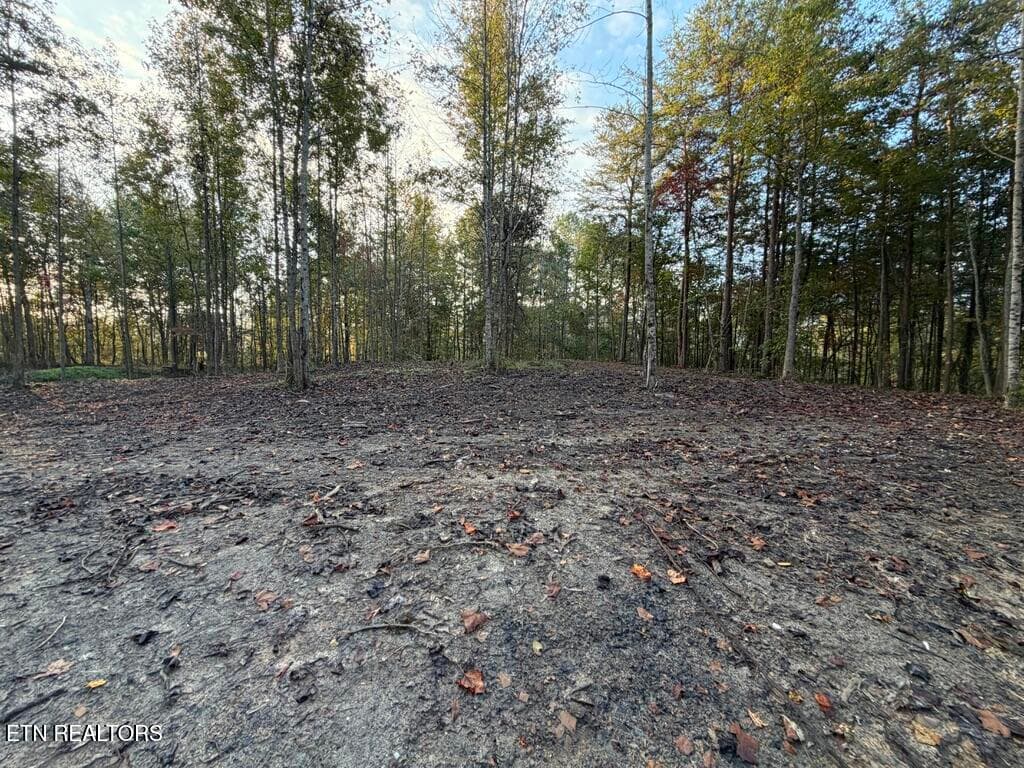 343AD713-5282-483B-9D5D-3247C3516EC6_1_1 - 0 Sled Creek Rd, Duff, TN 37729, Duff