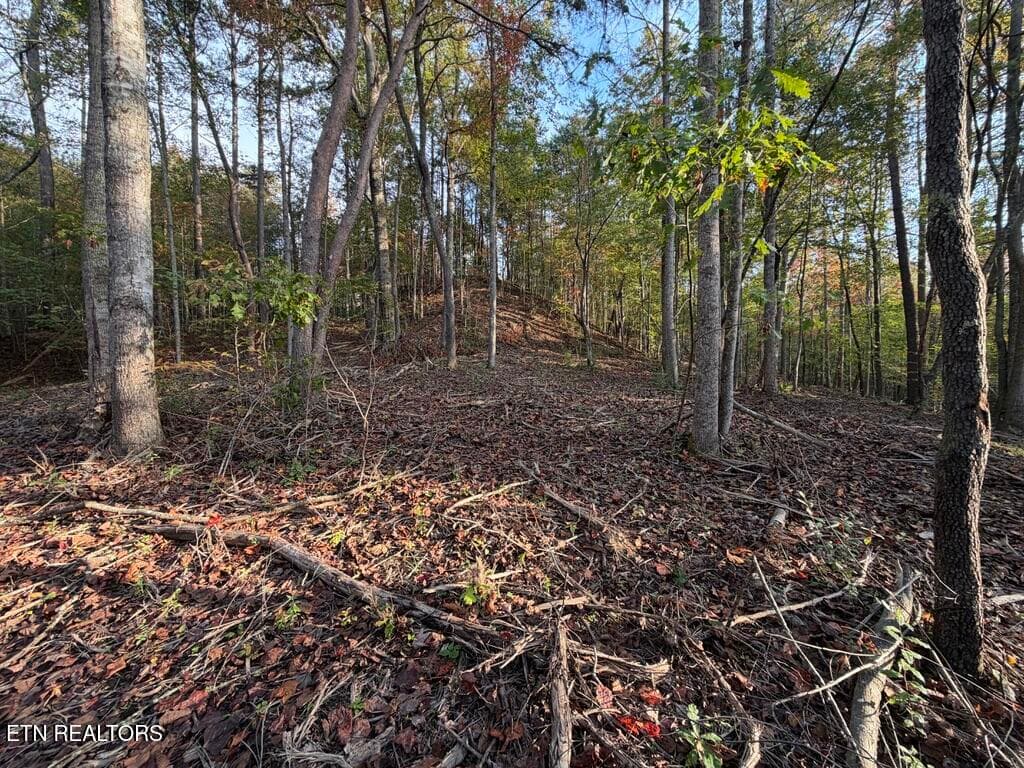1813BF85-C9D0-4F18-BF34-76CAE4A3B08E_1_1 - 0 Sled Creek Rd, Duff, TN 37729, Duff