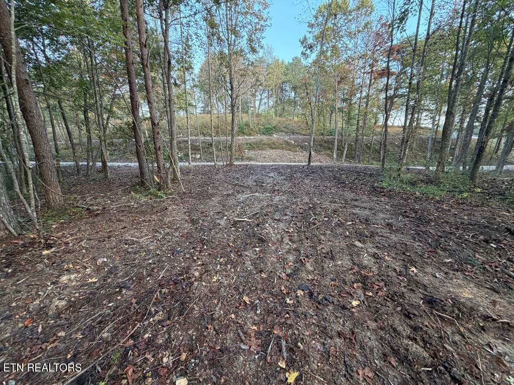 491641BF-DC86-41D8-98B1-1B1598837D2D_1_1 - 0 Sled Creek Rd, Duff, TN 37729, Duff