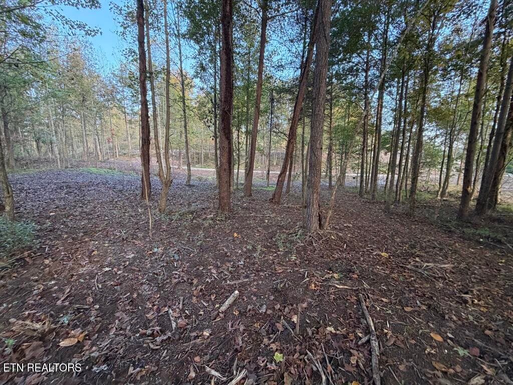 AD96D8B5-9A03-40B2-BE09-C08949AE88F4_1_1 - 0 Sled Creek Rd, Duff, TN 37729, Duff