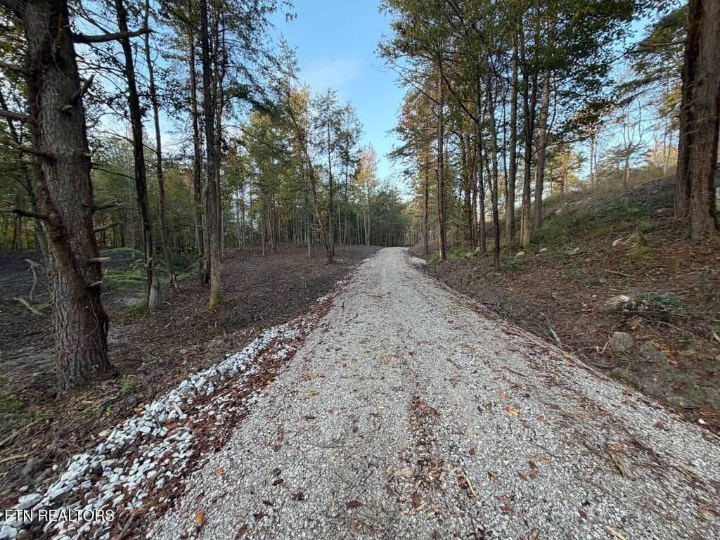 AEF20114-A490-461F-BC11-6D7BF50FE591_1_1 - 0 Sled Creek Rd, Duff, TN 37729, Duff