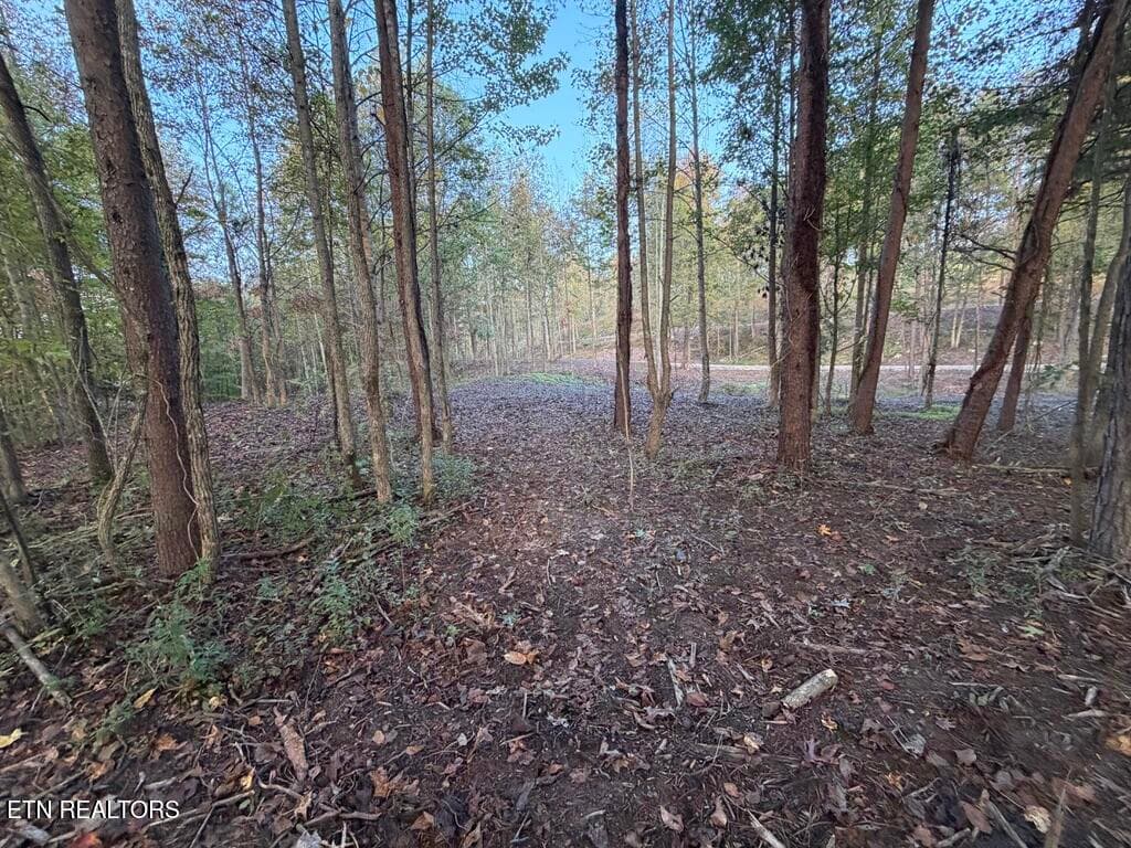 B0630035-B202-4D08-9E1E-F10CA4BFE08C_1_1 - 0 Sled Creek Rd, Duff, TN 37729, Duff