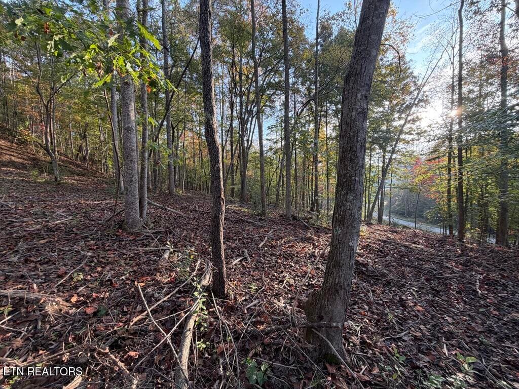 BF3FC989-A6CD-4D36-AFBD-BD4D95888C45_1_1 - 0 Sled Creek Rd, Duff, TN 37729, Duff