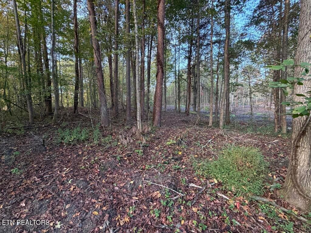 C6BAA097-701C-4C13-BC61-124884FB1F08_1_1 - 0 Sled Creek Rd, Duff, TN 37729, Duff