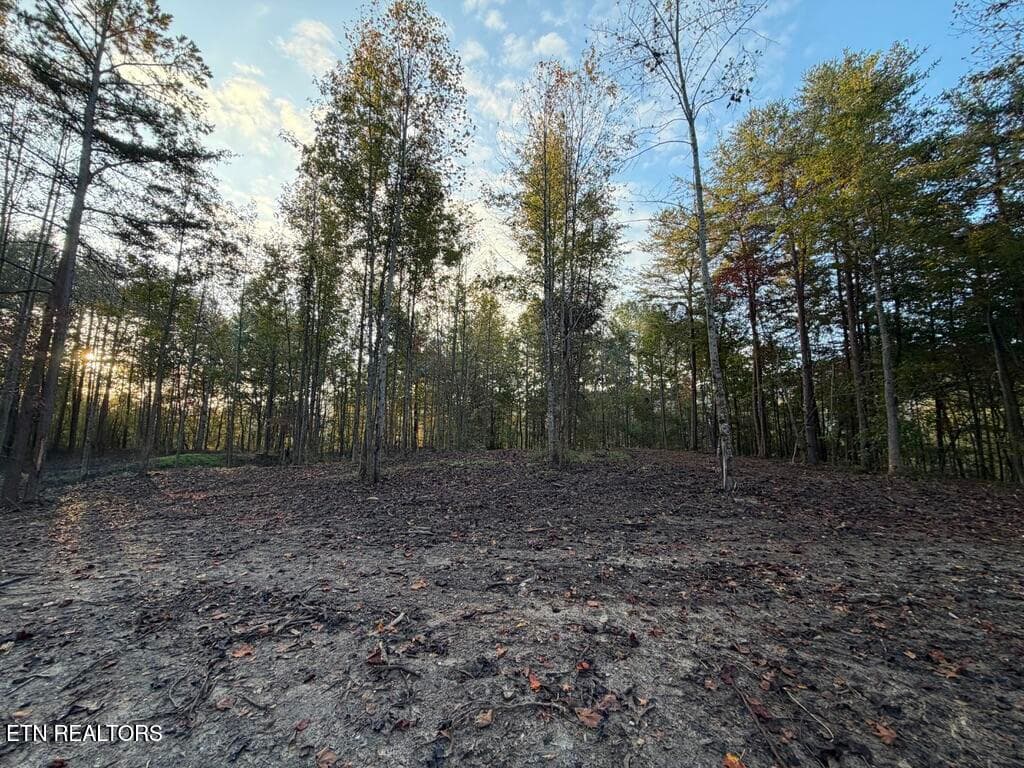 CF257E61-86C8-44AB-A94E-3F500494DD7B_1_1 - 0 Sled Creek Rd, Duff, TN 37729, Duff