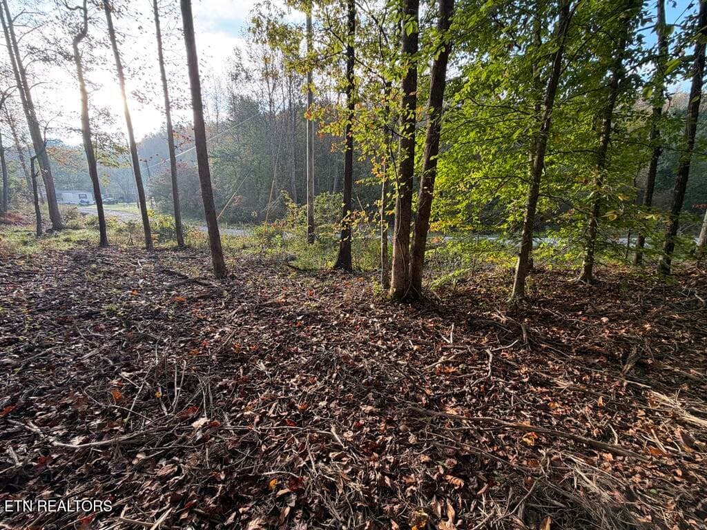 DA1B8E8F-26AA-4D2F-9B85-3D4FB700E7A4_1_1 - 0 Sled Creek Rd, Duff, TN 37729, Duff