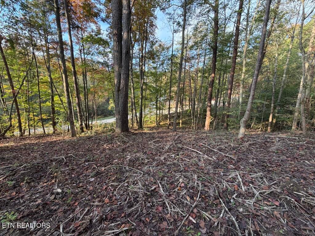 E8E5EEFD-9B95-402A-8B07-1AA7372FEB0C_1_1 - 0 Sled Creek Rd, Duff, TN 37729, Duff