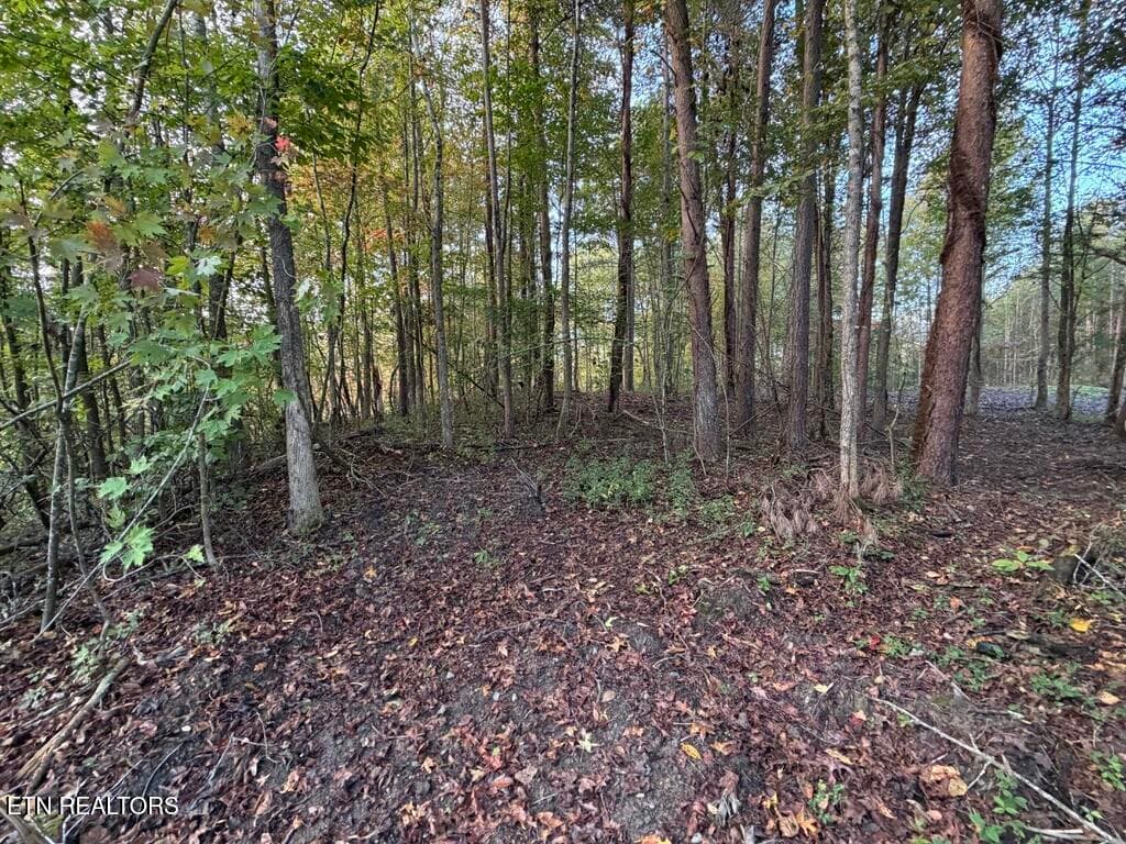 E028D2A7-FFF9-4CE9-AAE0-2DE24B86414D_1_1 - 0 Sled Creek Rd, Duff, TN 37729, Duff