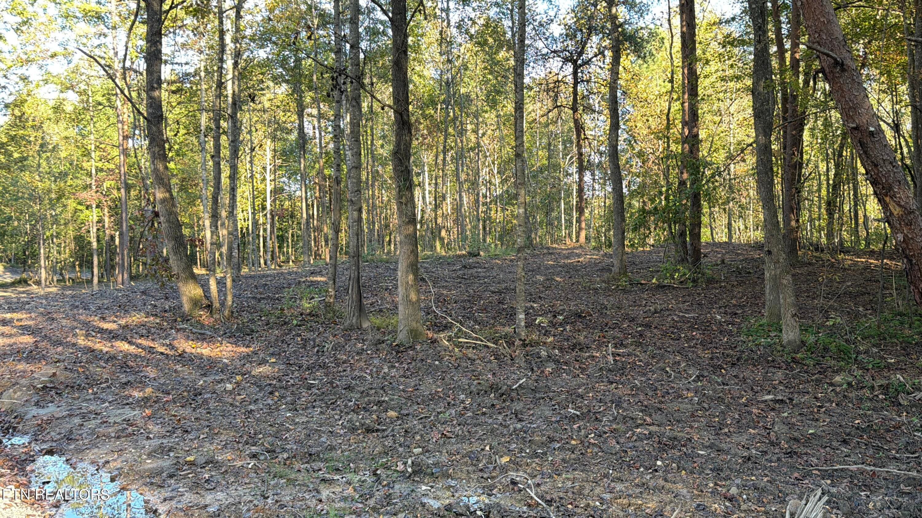 IMG_4040 - 0 Sled Creek Rd, Duff, TN 37729, Duff