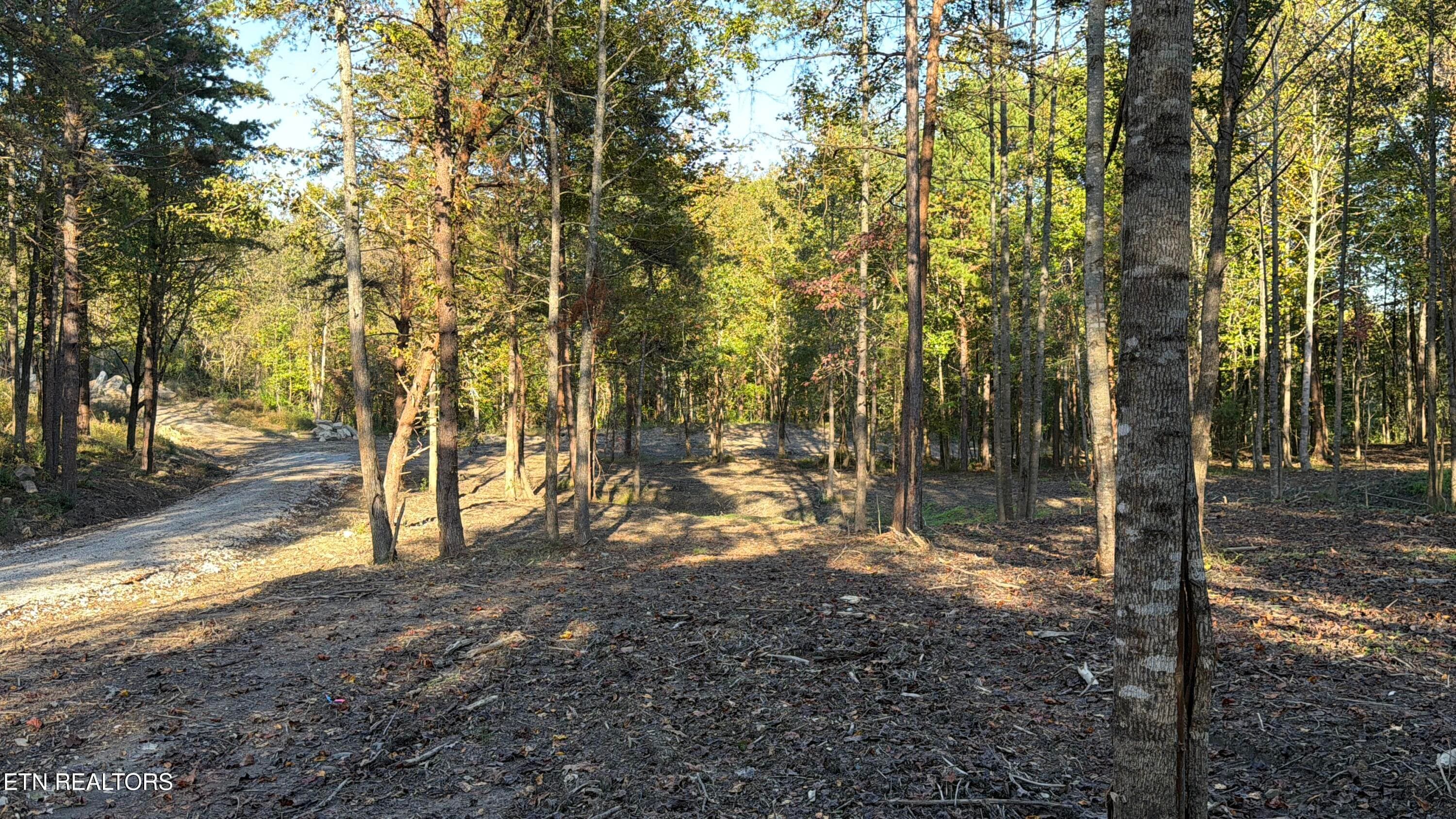 IMG_4049 - 0 Sled Creek Rd, Duff, TN 37729, Duff