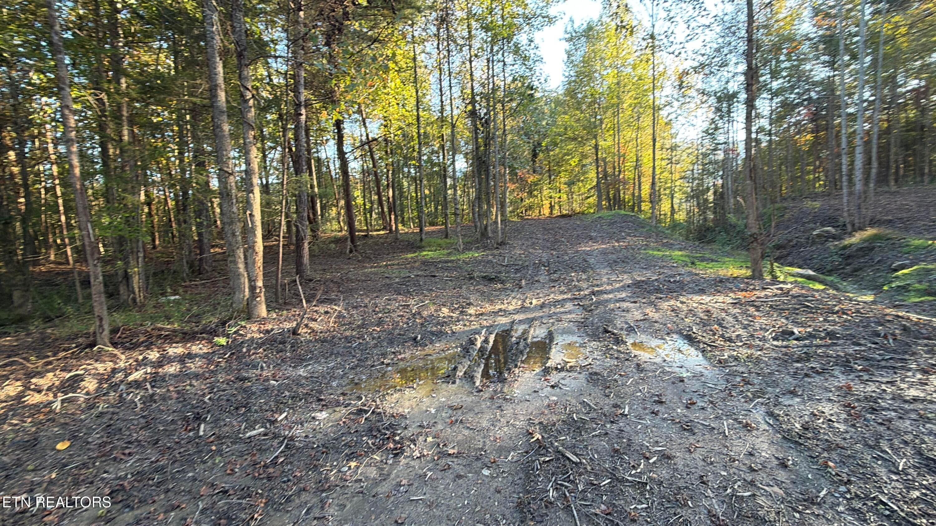 IMG_4104 - 0 Sled Creek Rd, Duff, TN 37729, Duff